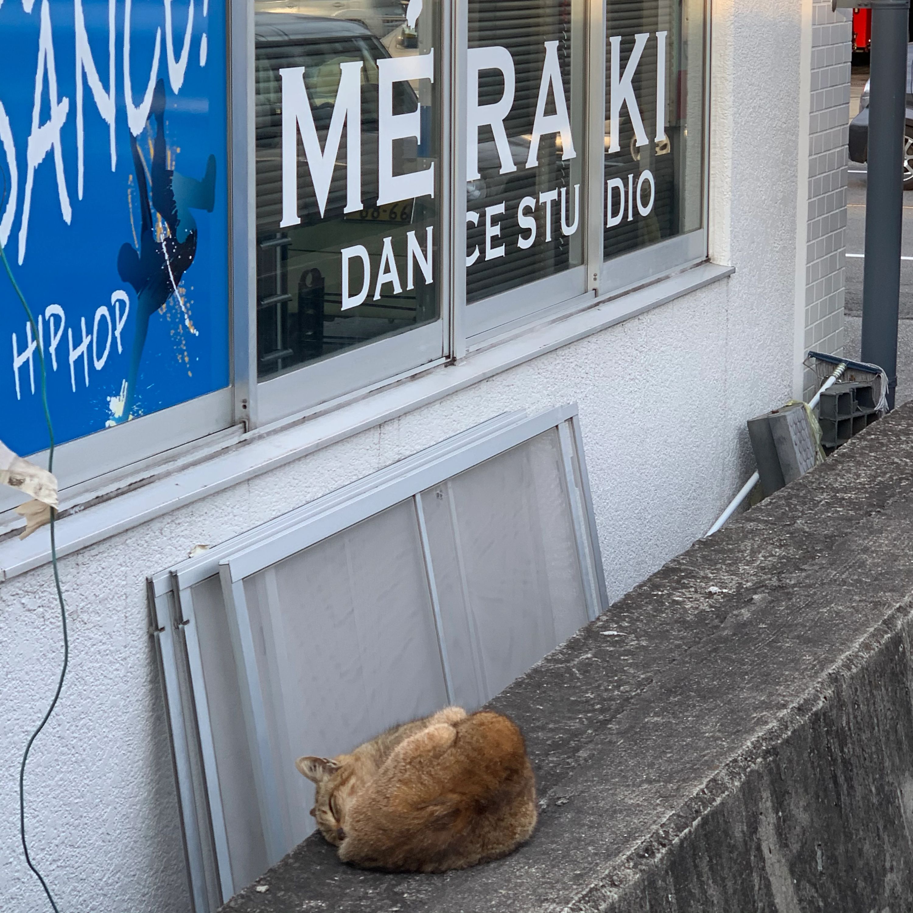 MERAKI DANCE STUDIO 北鶴崎教室のサムネイル画像 3