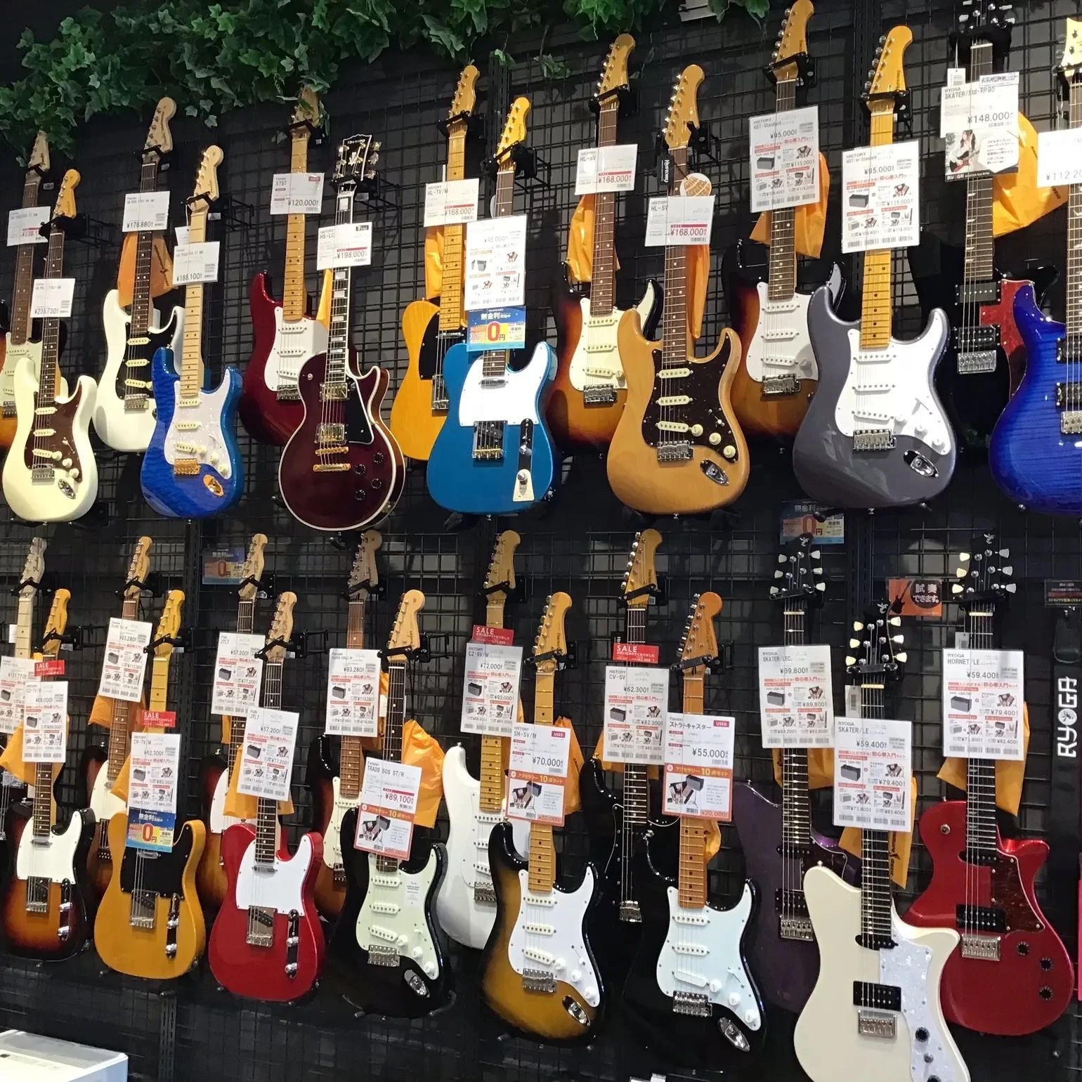 島村楽器の音楽教室 宇都宮インターパークビレッジ店 エレキギターのメイン画像