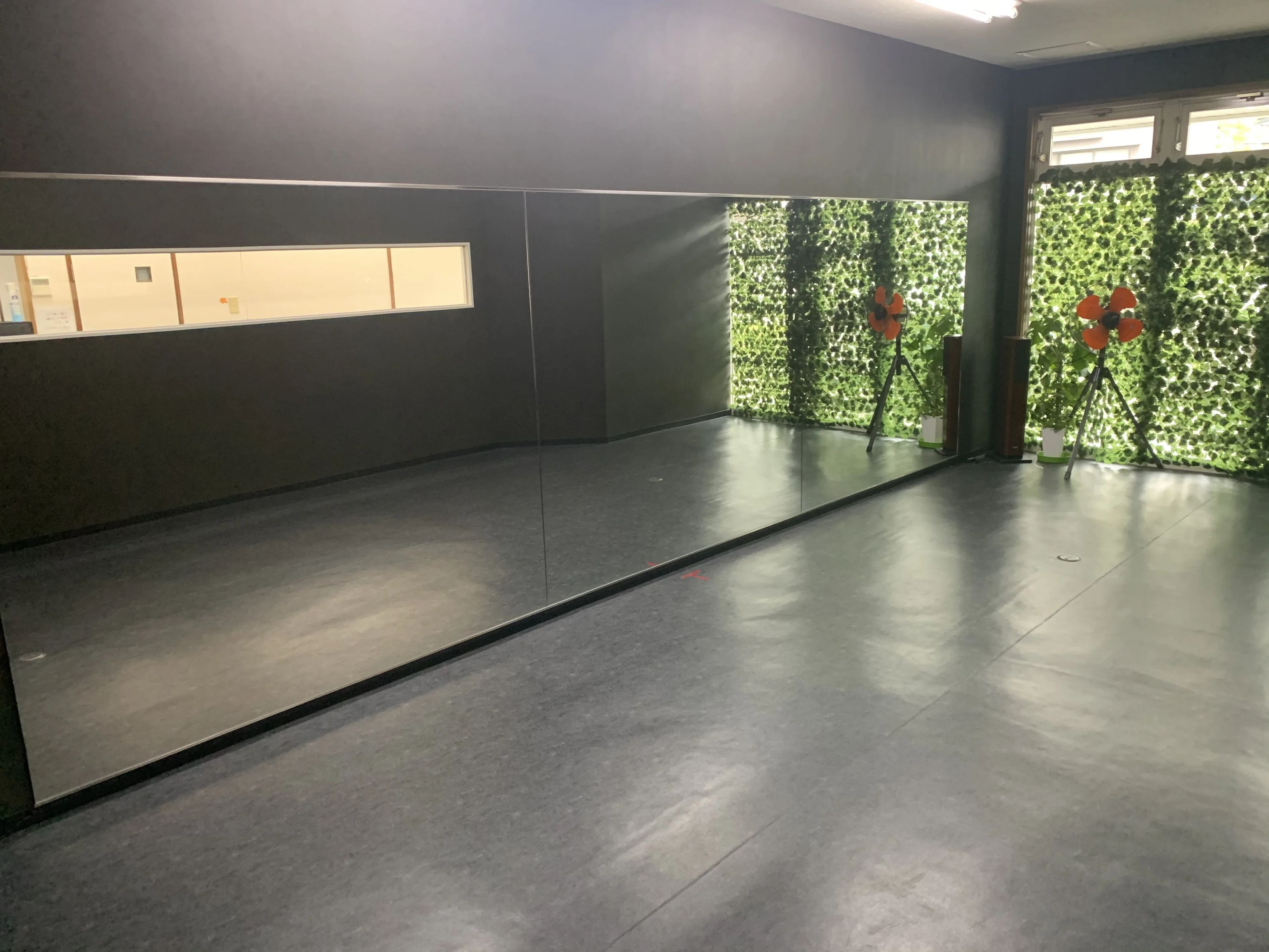 STUDIO FREE(フリー) ダンス 和田谷山校のサムネイル画像 3