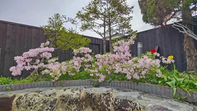 小樽サンフィッシュスポーツクラブ 若松教室のサムネイル画像 3