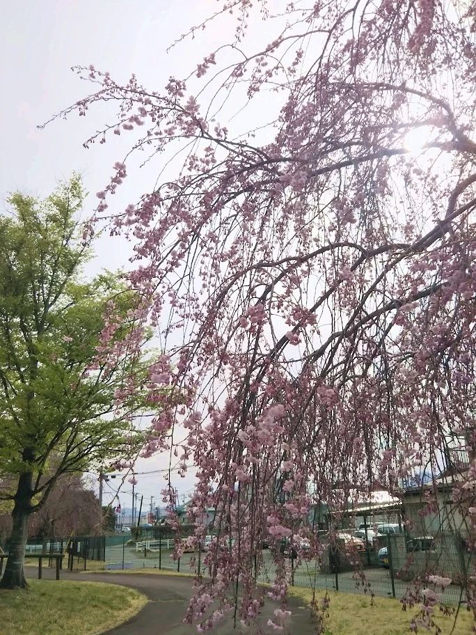 ふれあいランド岩手スイミングスクール 三本柳8地割教室のメイン画像