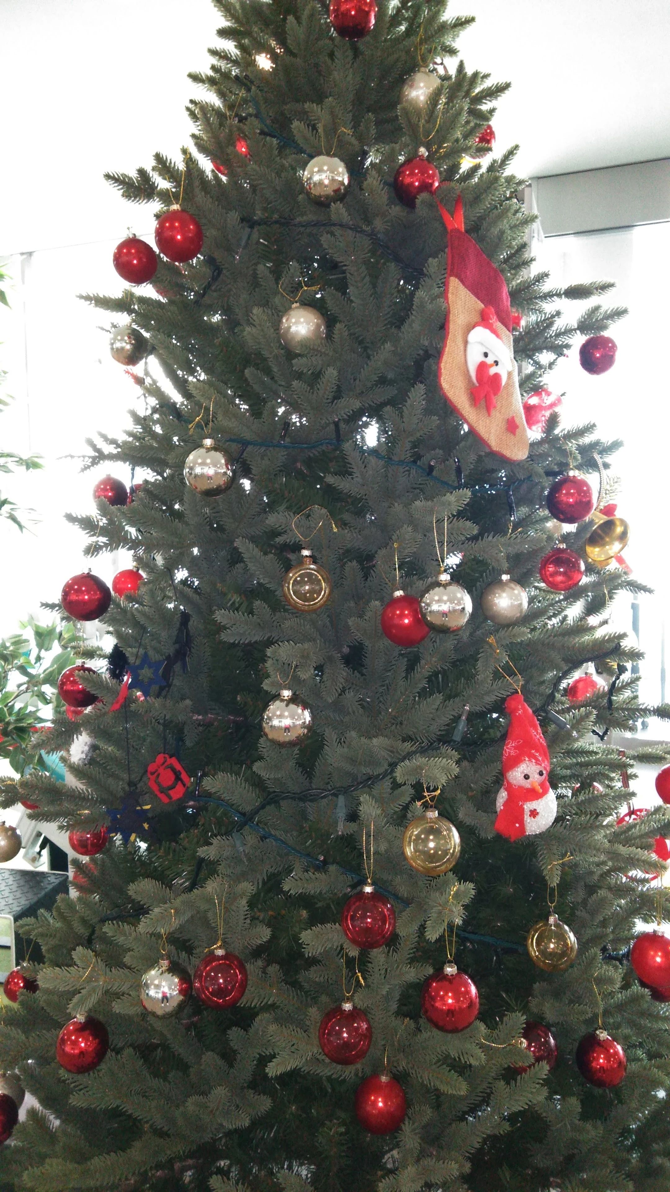 DUNLOP(ダンロップスポーツクラブ) スイミング・水泳 ゆぷとのサムネイル画像 3