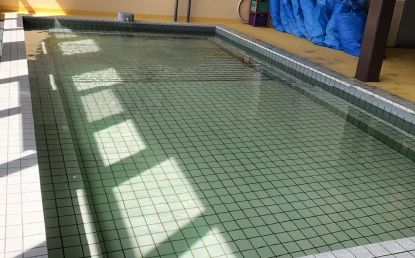 PURESPORTS(ピュアスポーツ) スイミング・水泳 福島東スイミングのサムネイル画像 5