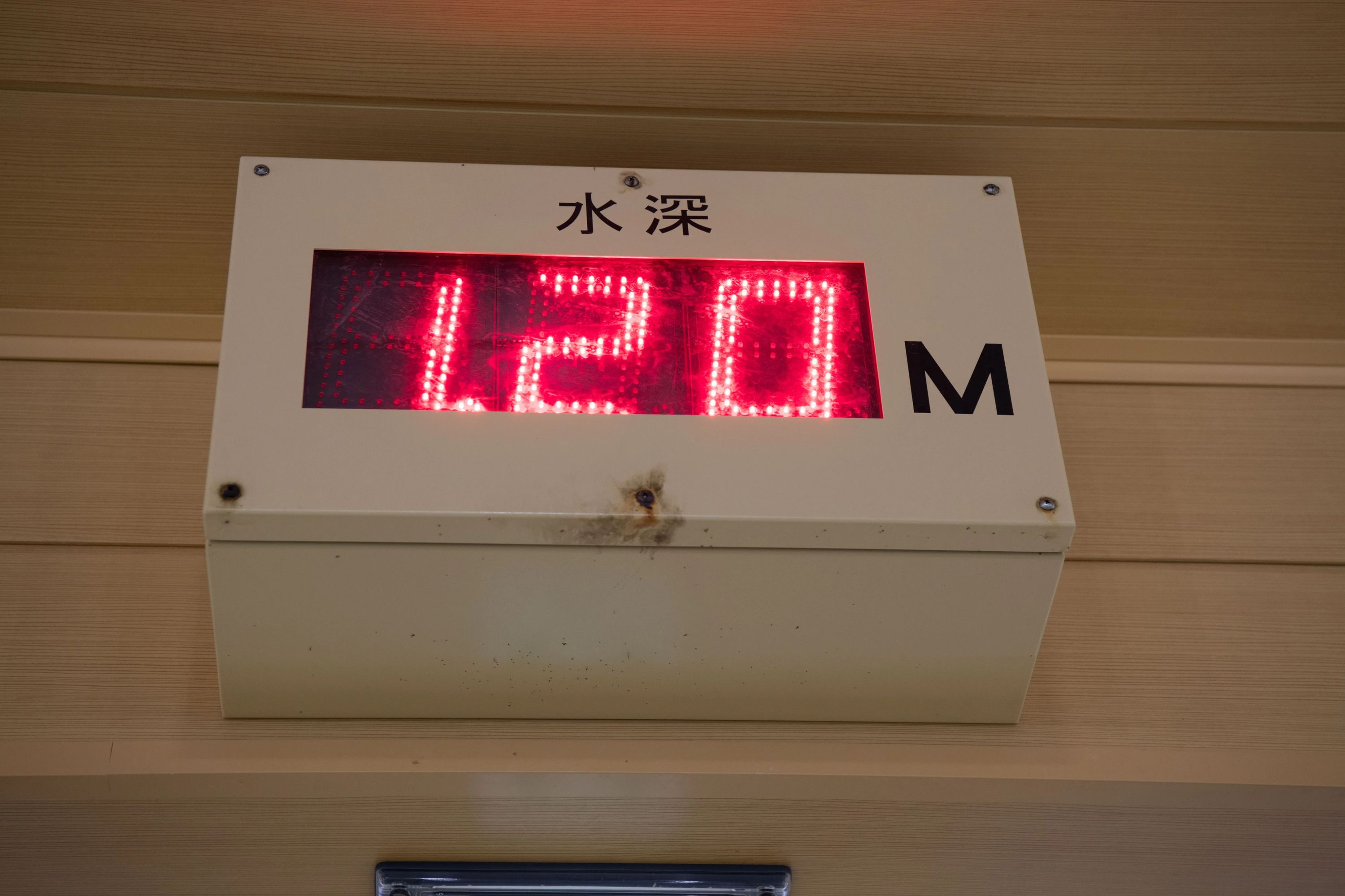 金田スイミングクラブ立川立飛 高松町教室のメイン画像