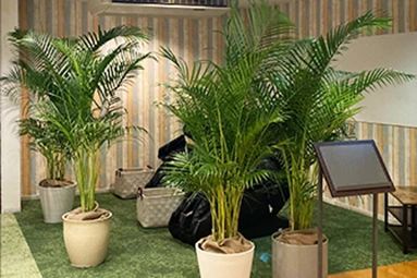 スポーツクラブNAS スイミング・水泳 永山のサムネイル画像 5