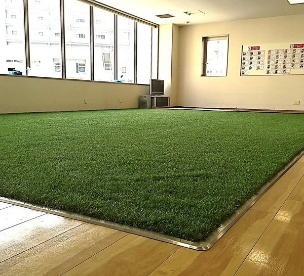 RENAISSANCE(ルネサンス) スイミング・水泳 曳舟のサムネイル画像 3