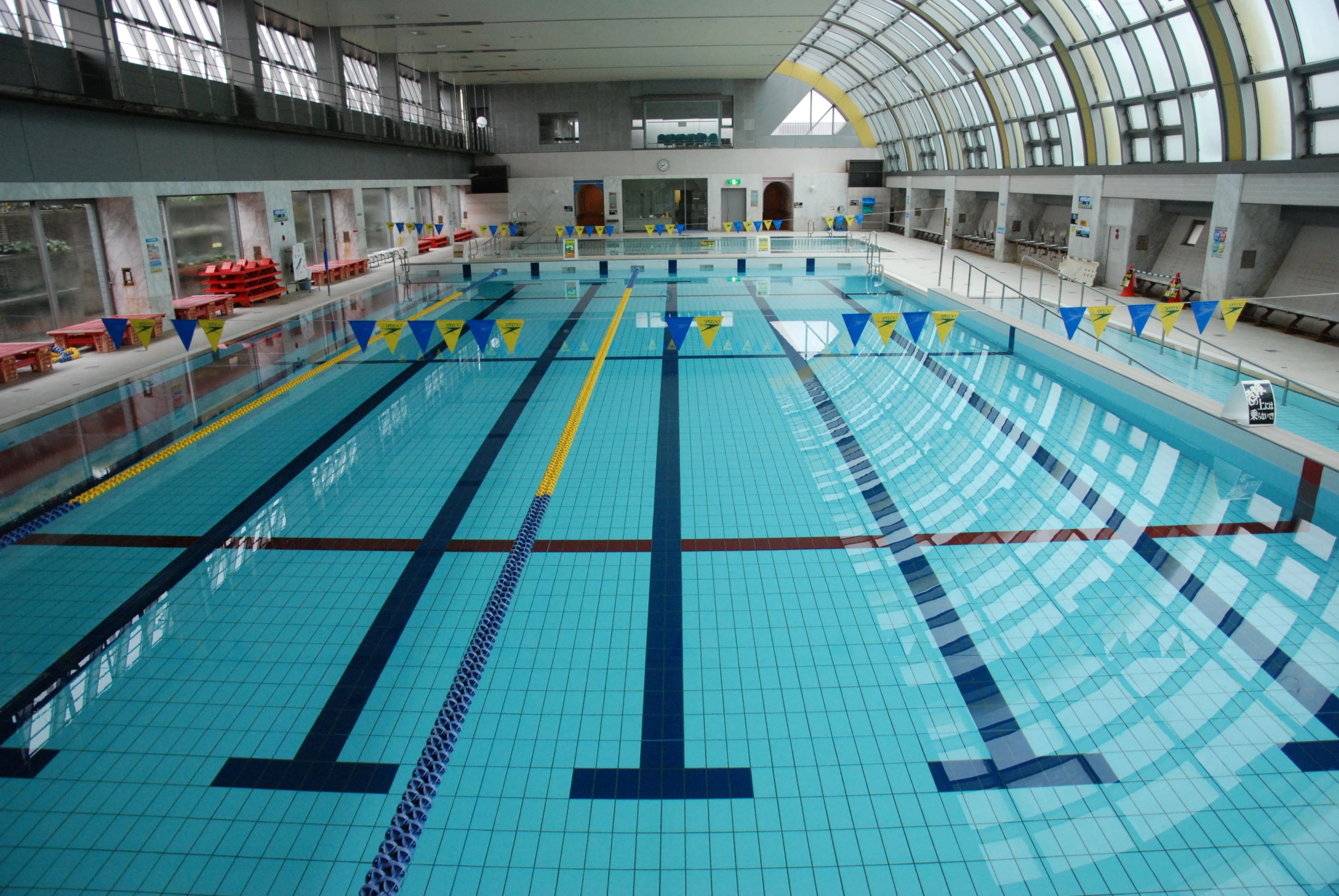 上井草スポーツセンター スイミング・水泳 上井草教室のメイン画像