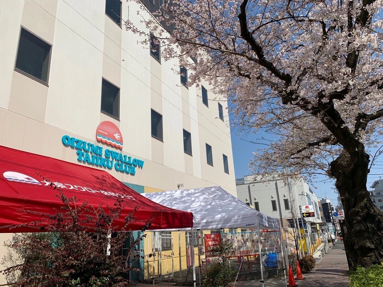 大泉スワロー体育クラブ スイミング・水泳 東大泉教室のメイン画像