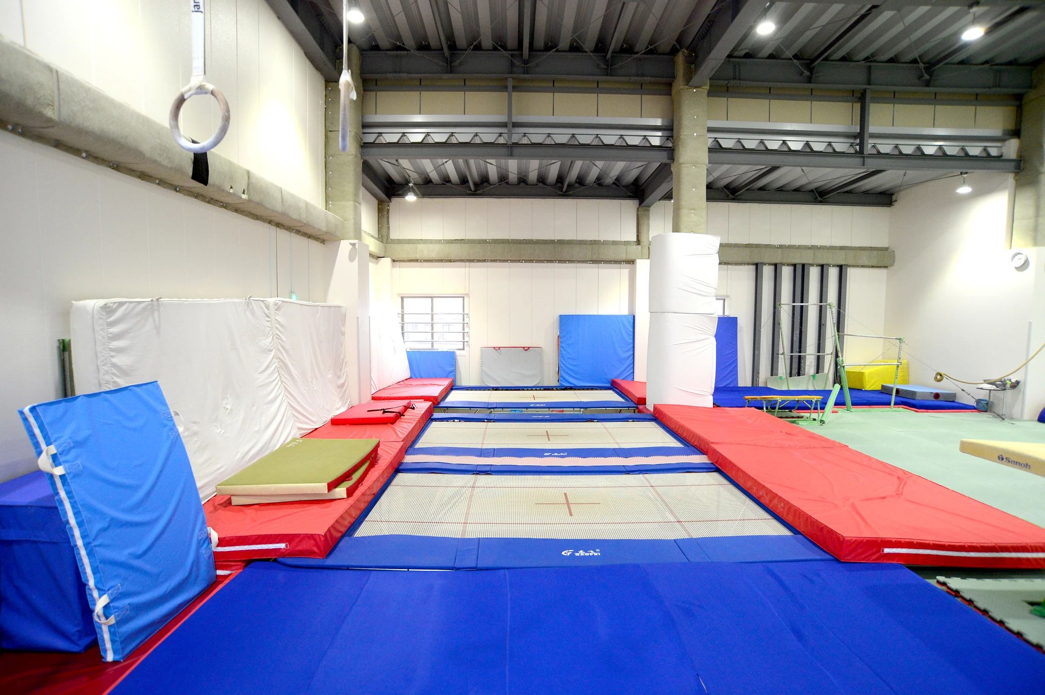 大泉スワロー体育クラブ スイミング・水泳 東大泉教室のサムネイル画像 4