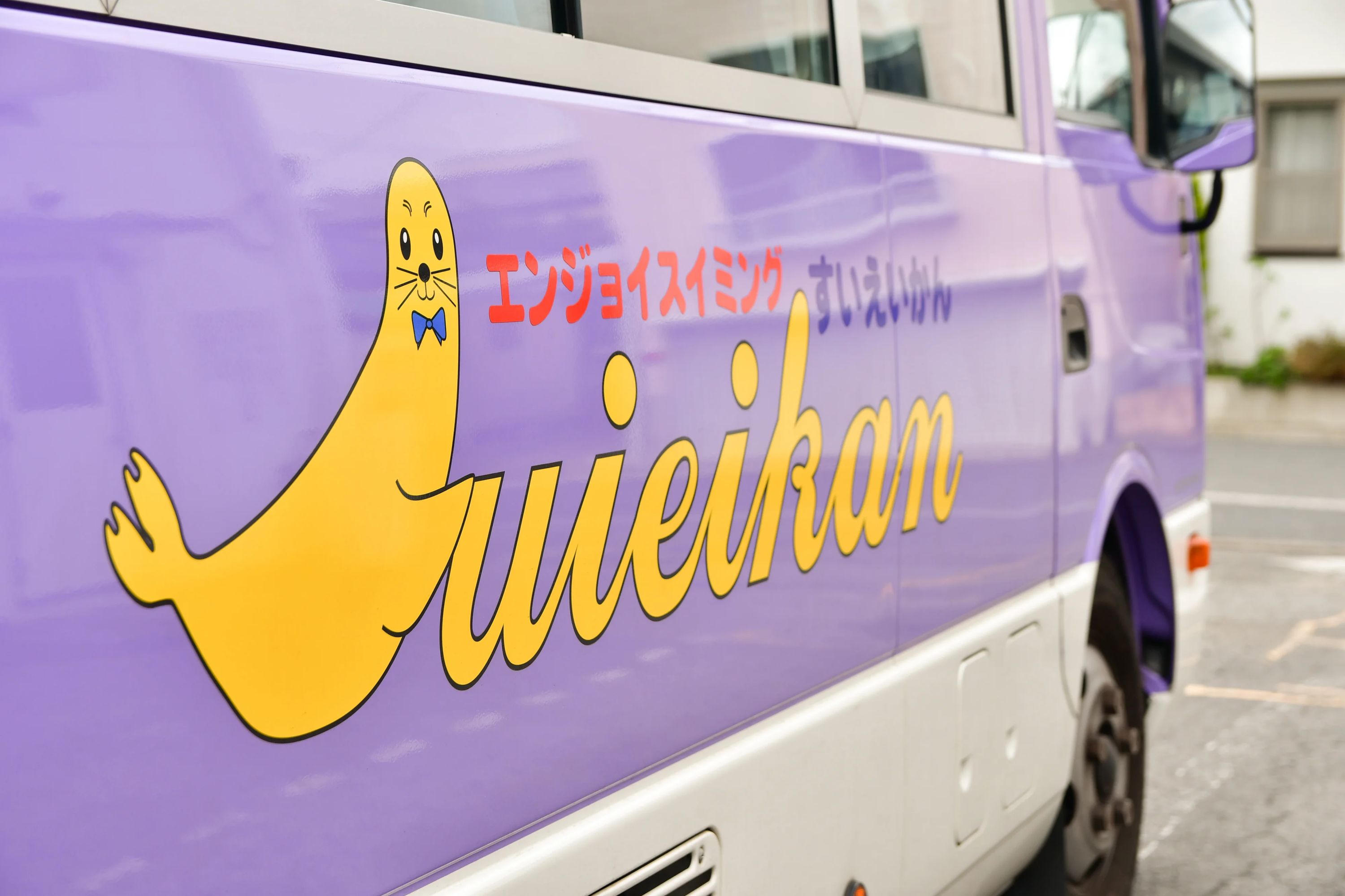 エンジョイスイミングすいえいかん すいえいかん小岩校のサムネイル画像 5