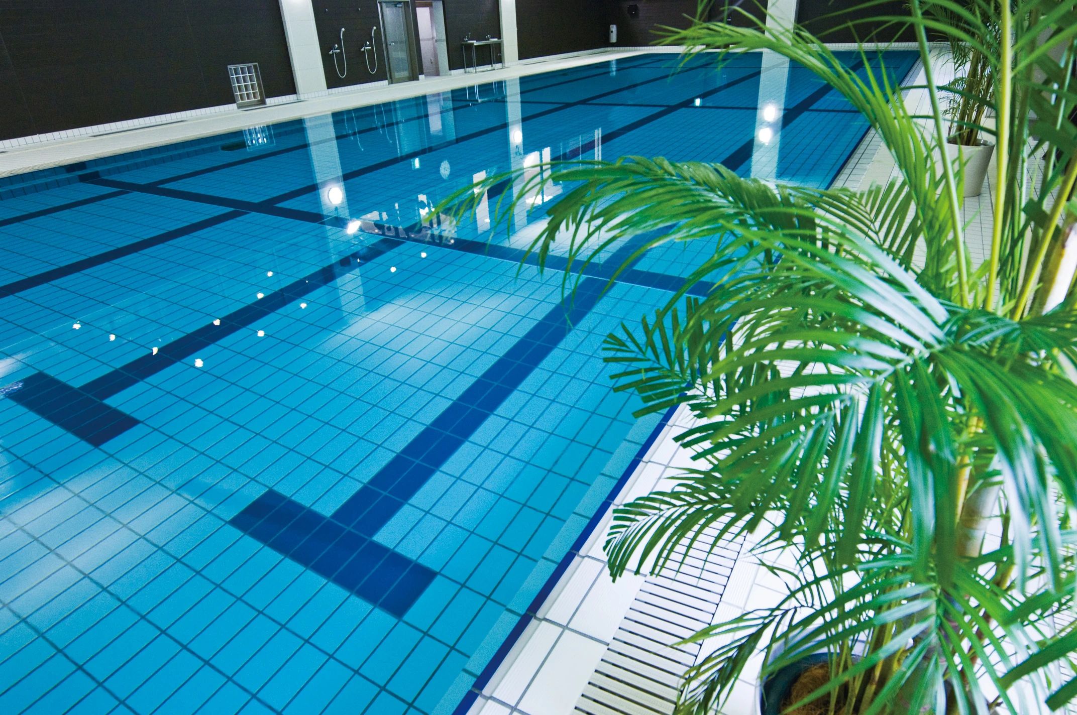 東京マリン スイミング・水泳 江北フィットネスのサムネイル画像 5