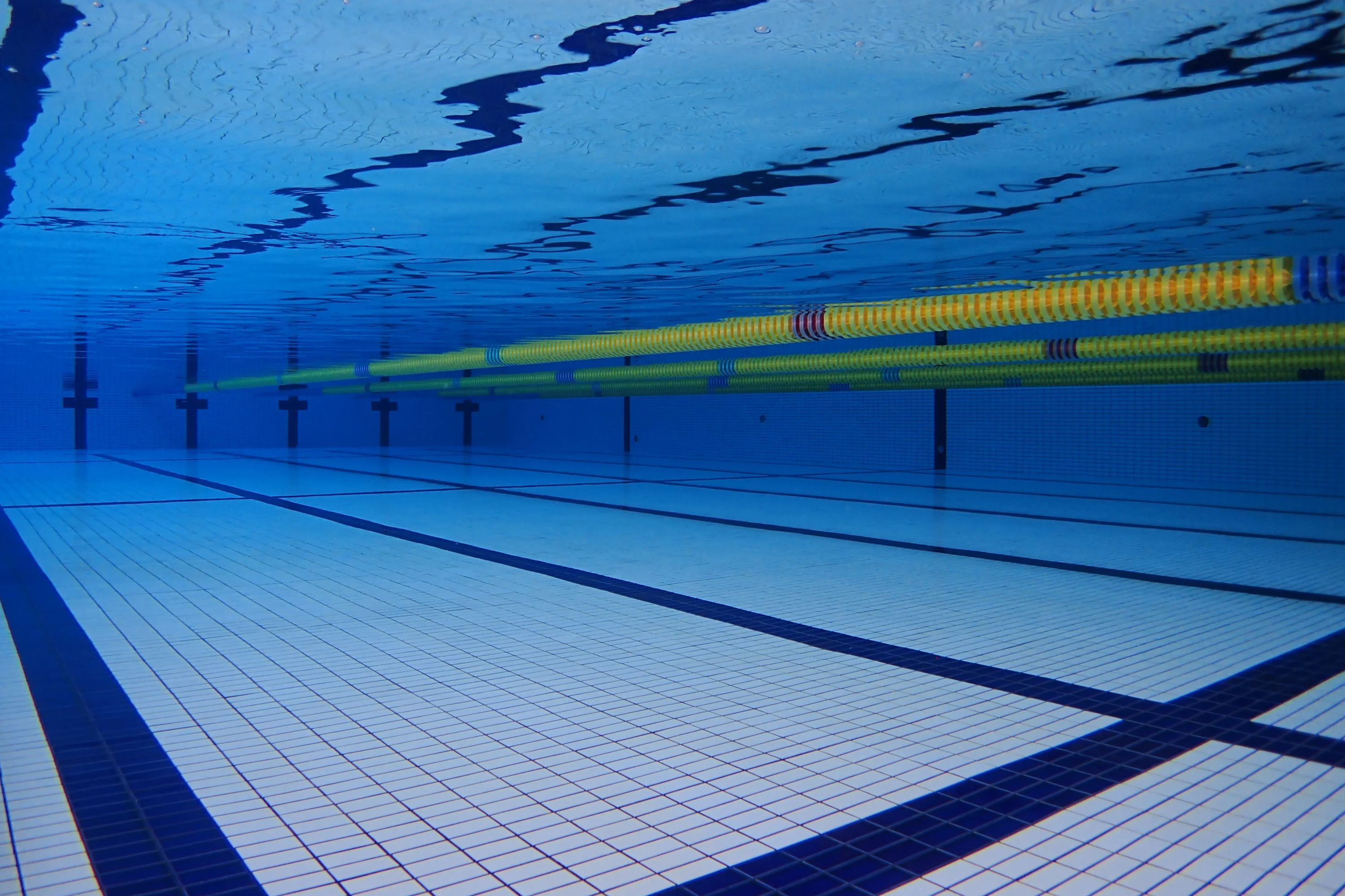 AQLUB(アクラブ) スイミング・水泳 アクラブ八王子のメイン画像