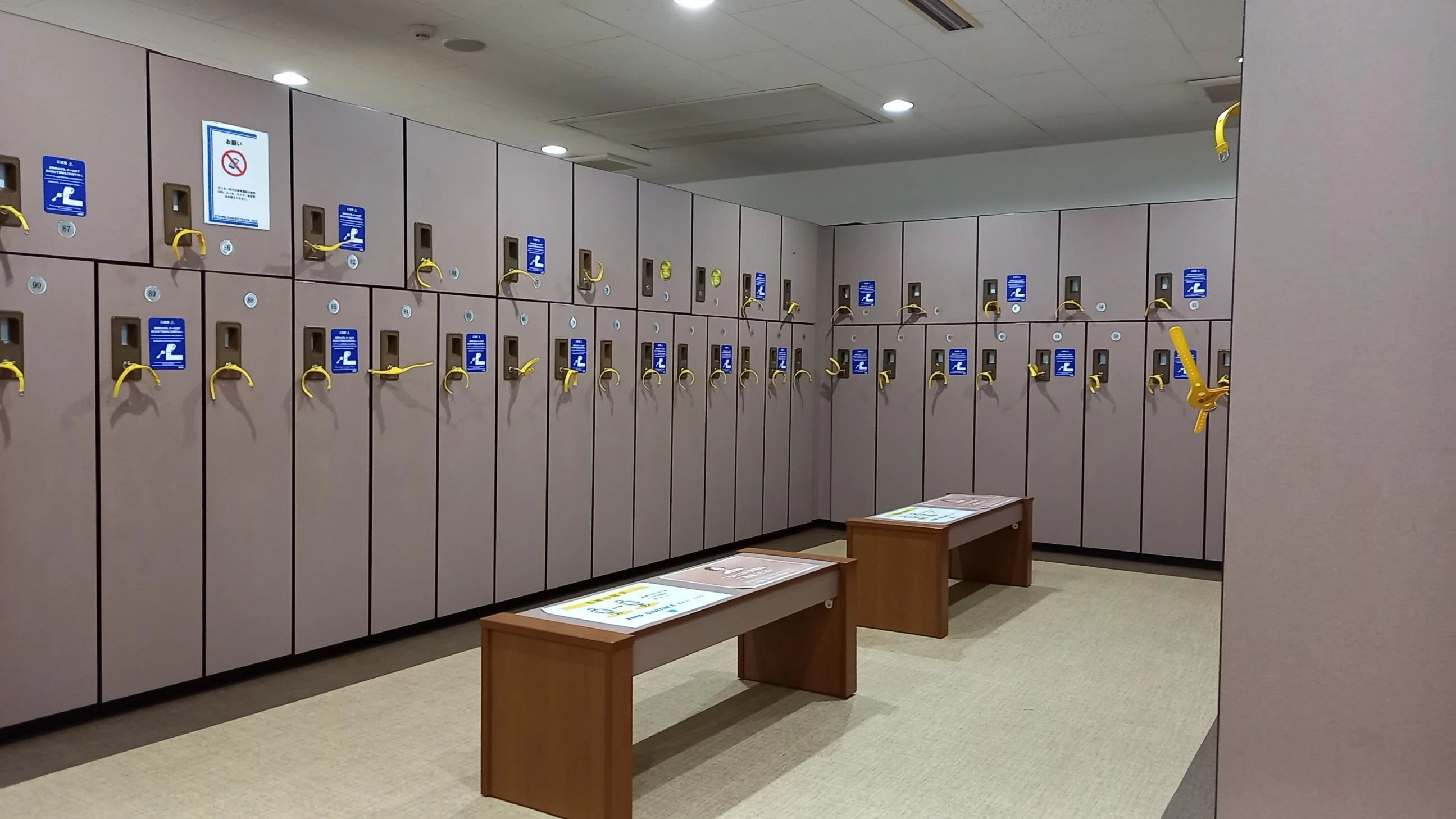 CENTRALSPORTS(セントラルスポーツ) スイミング・水泳 二俣川のサムネイル画像 4