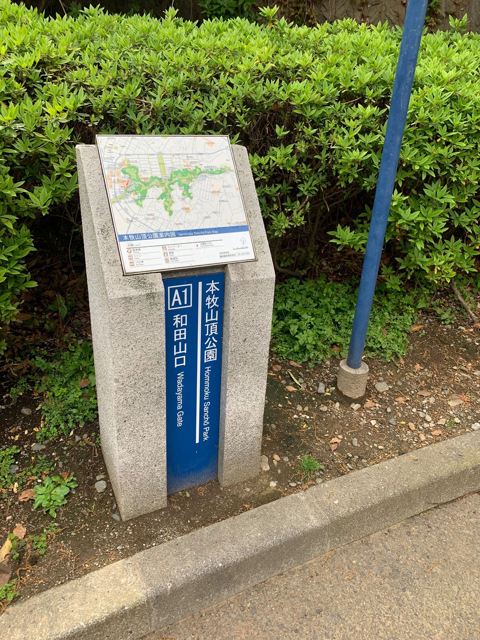 ネクシス スイミング・水泳 ネクシス横浜本牧のサムネイル画像 2