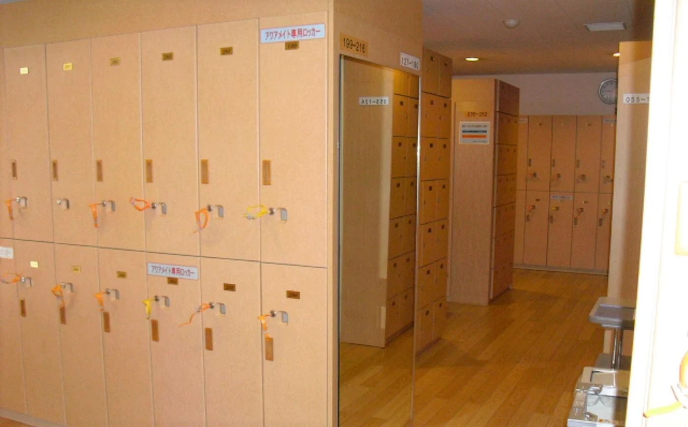 ZAVAS(ザバススポーツクラブ) スイミング・水泳 藤が丘のサムネイル画像 2