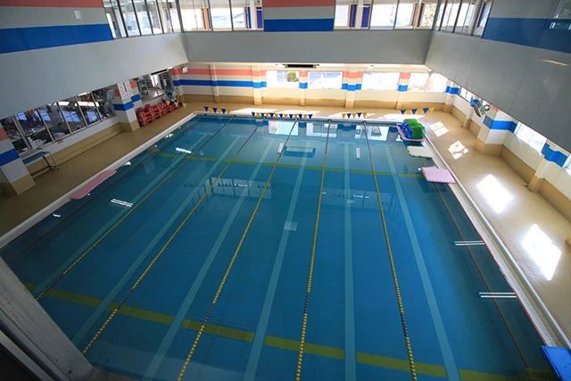 サギヌマスイミングクラブ 鷺沼のサムネイル画像 4