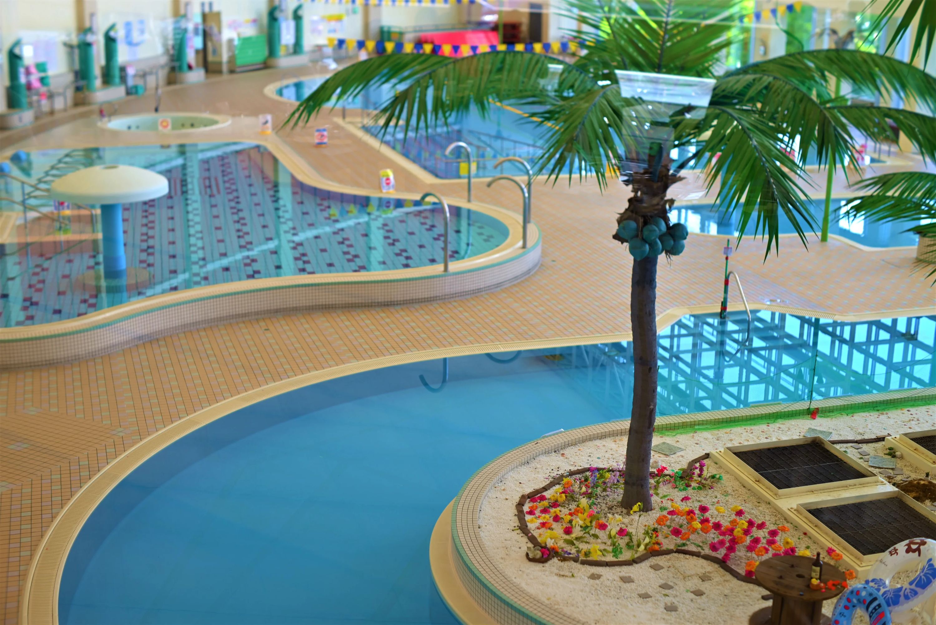 ふれーゆスイミングスクール 末広町教室のメイン画像