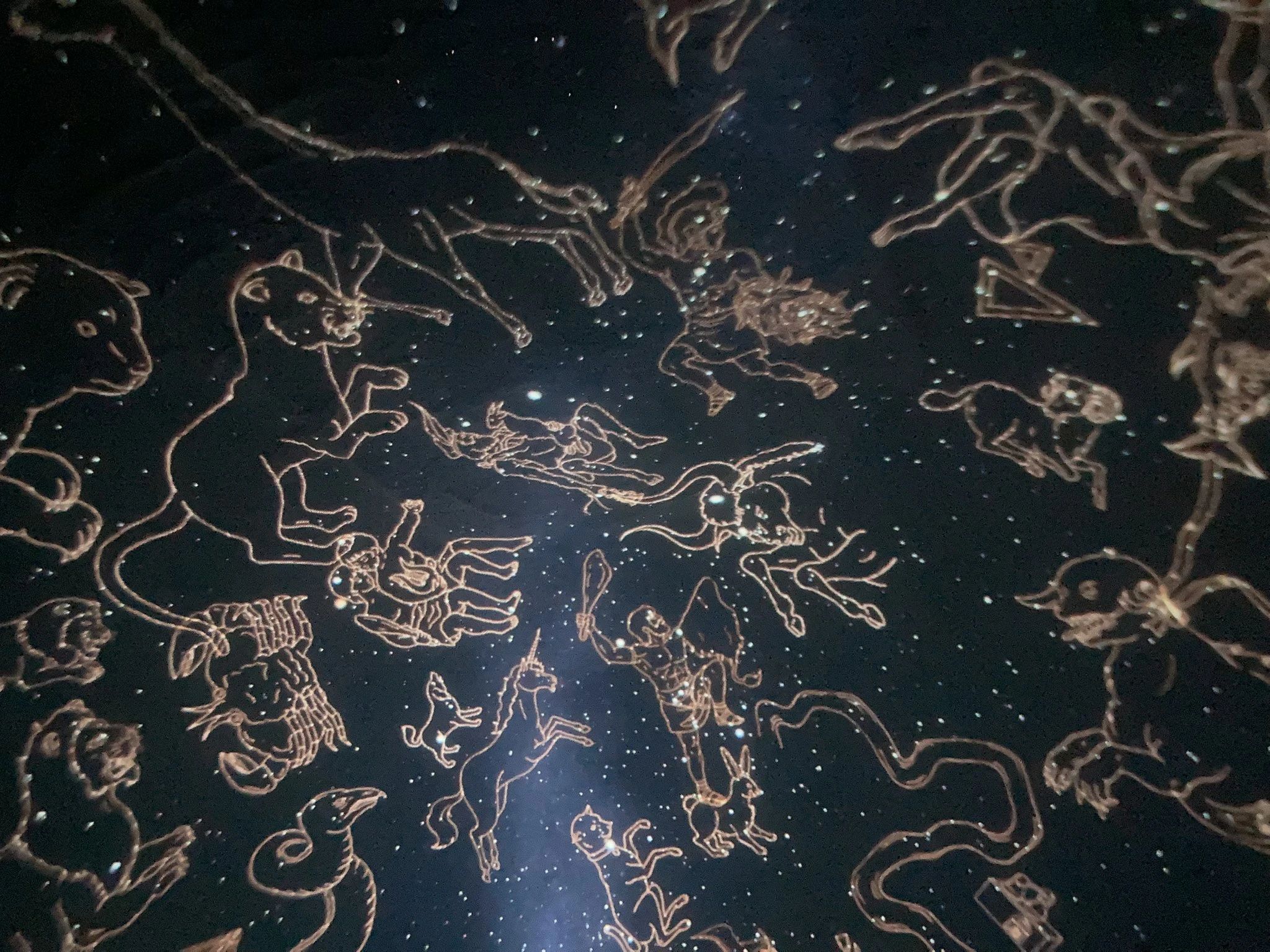 ふれーゆスイミングスクール 末広町教室のサムネイル画像 4