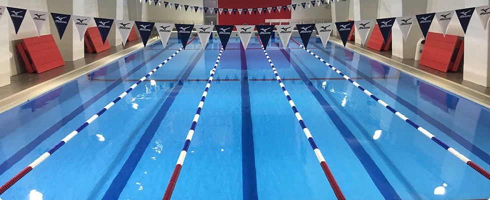 鎌倉スイミングスクール 小町教室のメイン画像