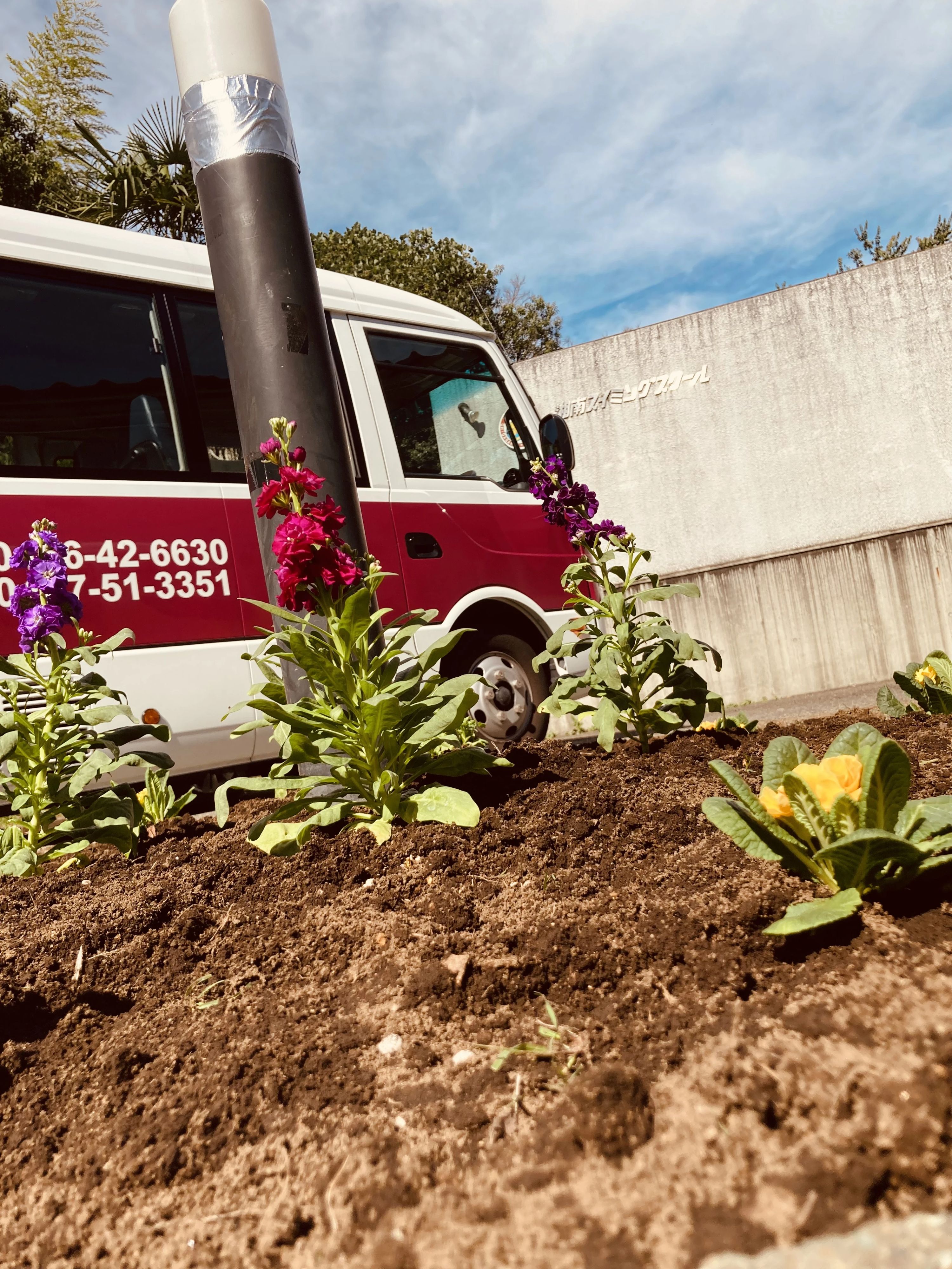 湘南スイミングスクール 茅ヶ崎校のサムネイル画像 3