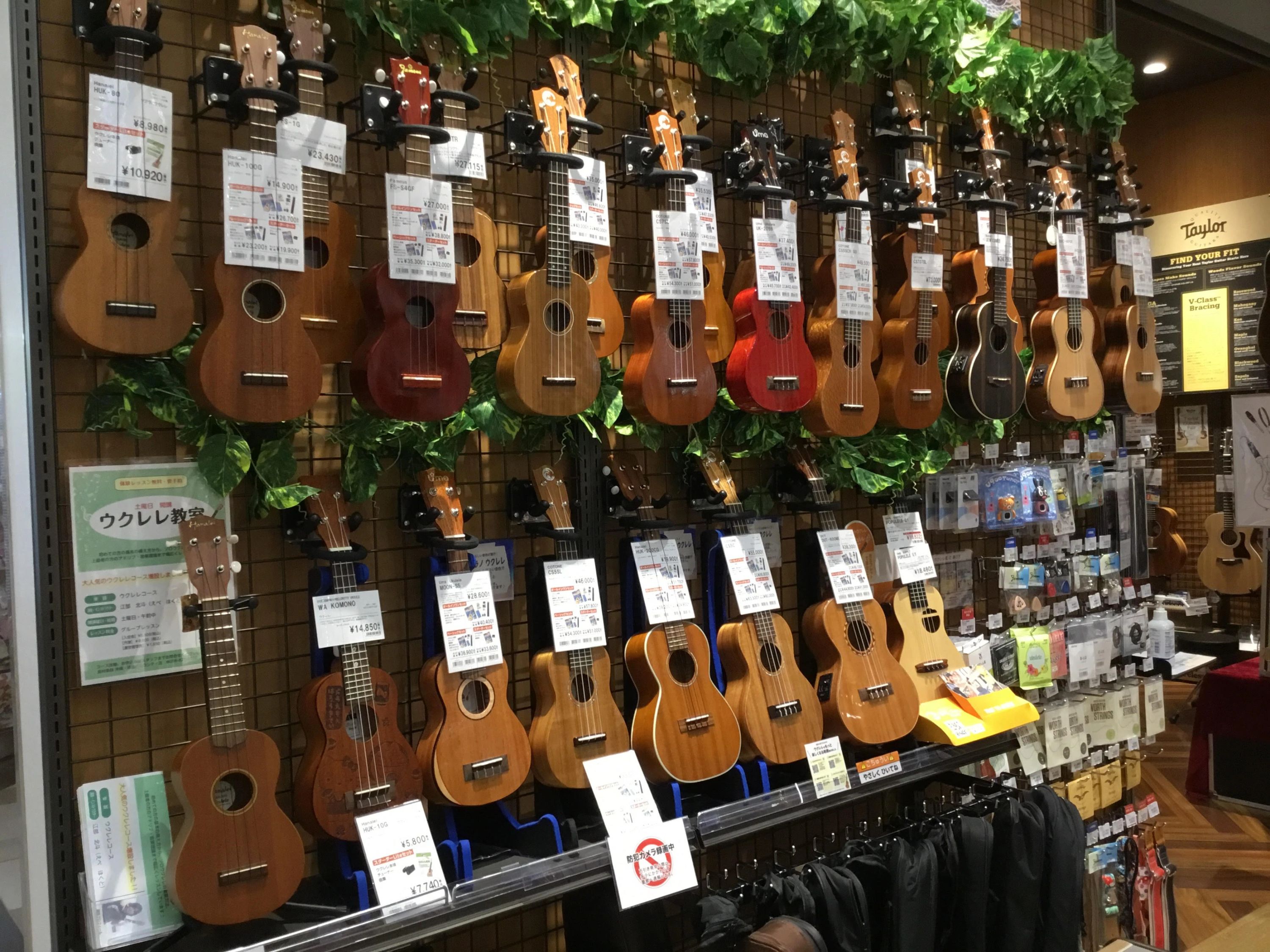 島村楽器の音楽教室 沖縄・浦添 パルコ シティ店 ヴォーカルのメイン画像