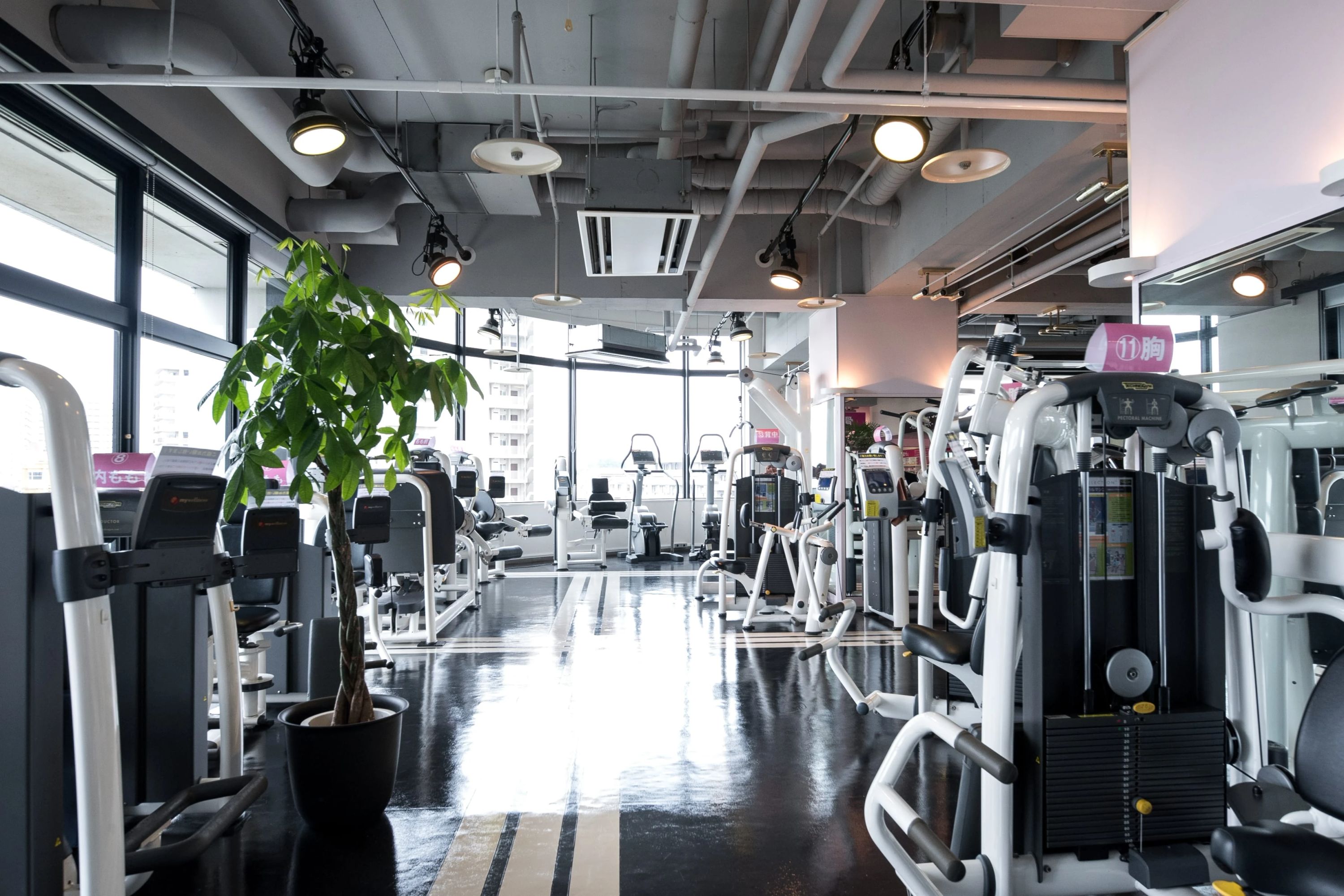 わらわら スイミング・水泳 ふじみ野店のサムネイル画像 3