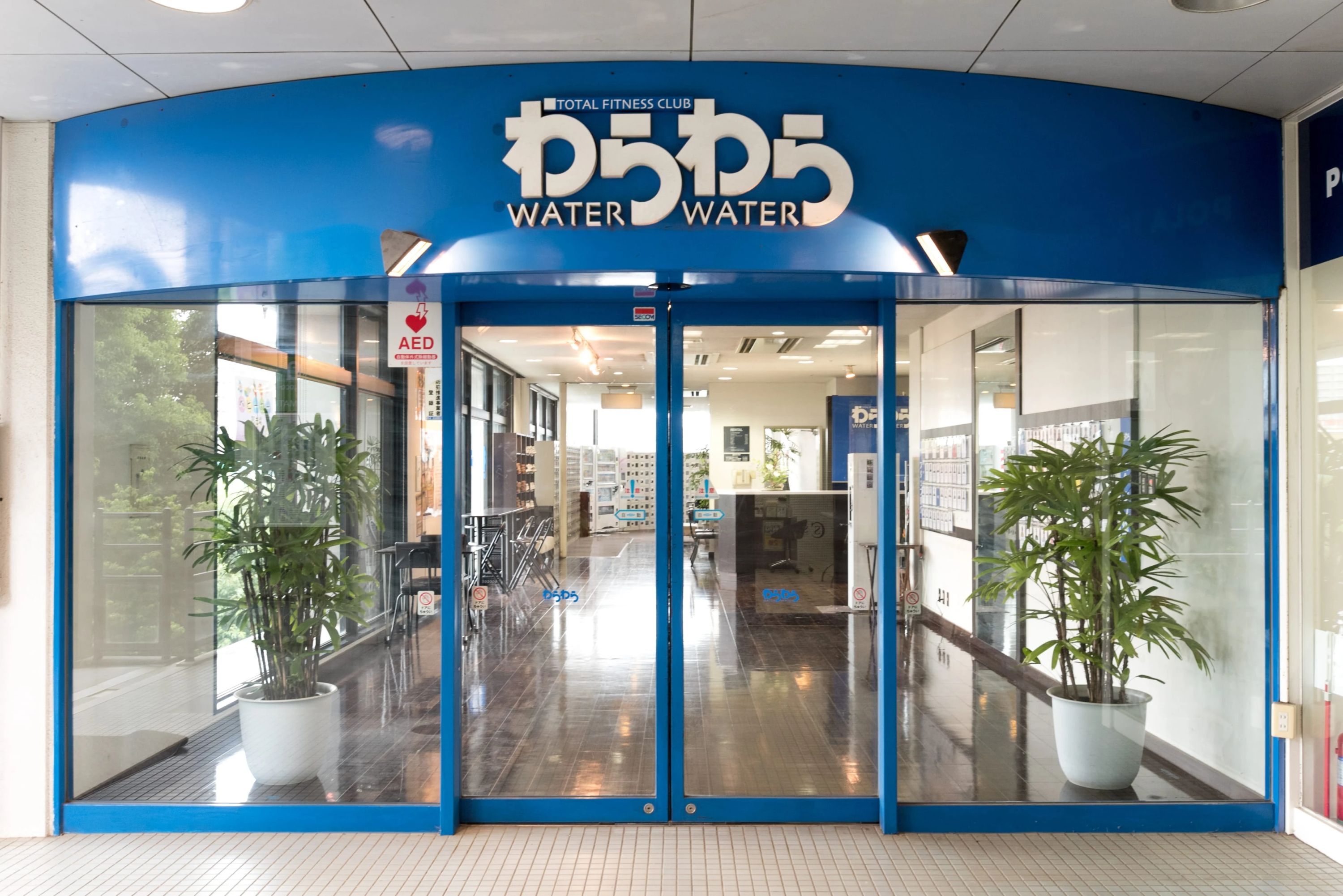 わらわら スイミング・水泳 ふじみ野店のサムネイル画像 4