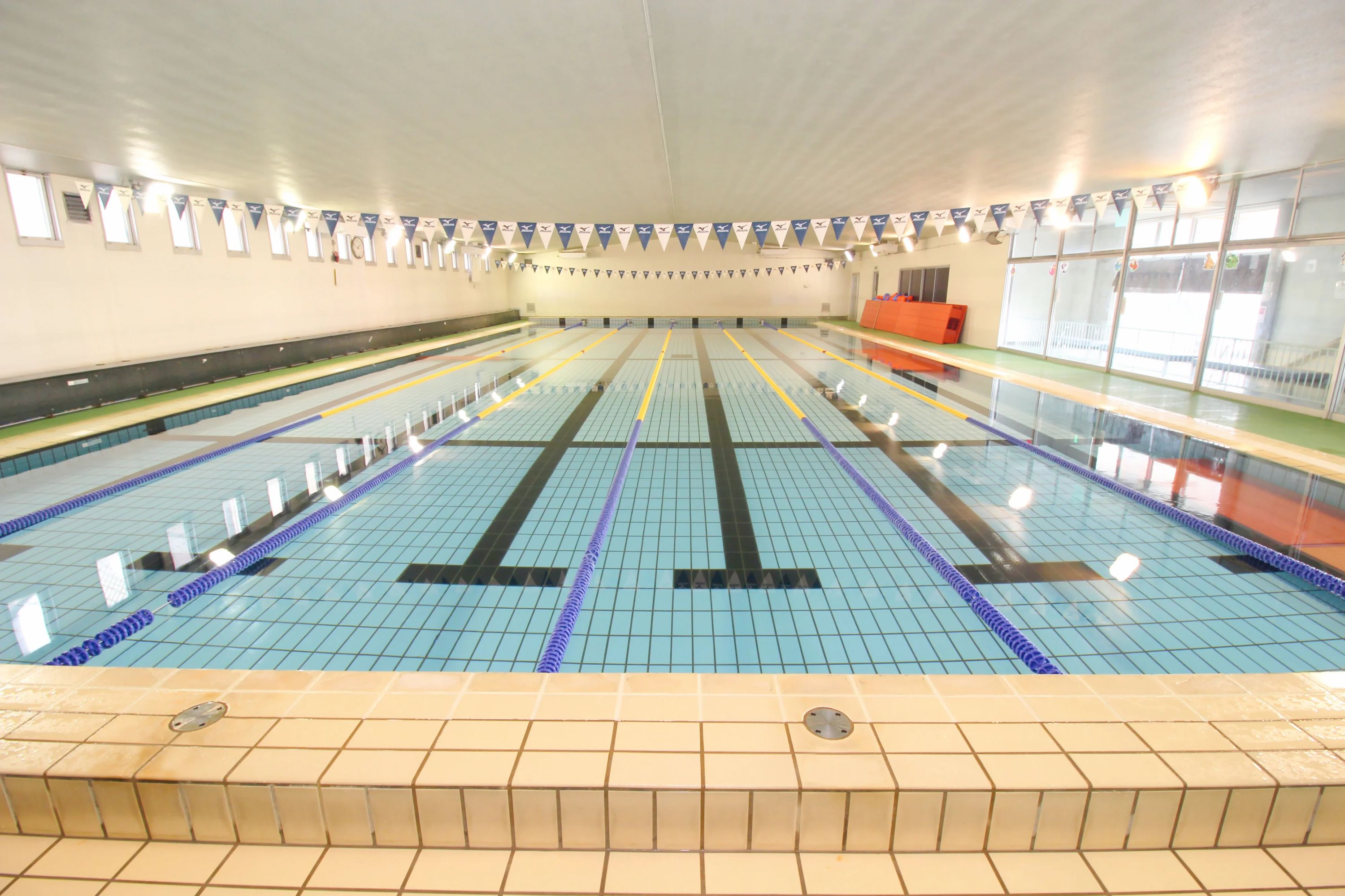 東川口スイミングセンタースイミングスクール 戸塚教室のメイン画像