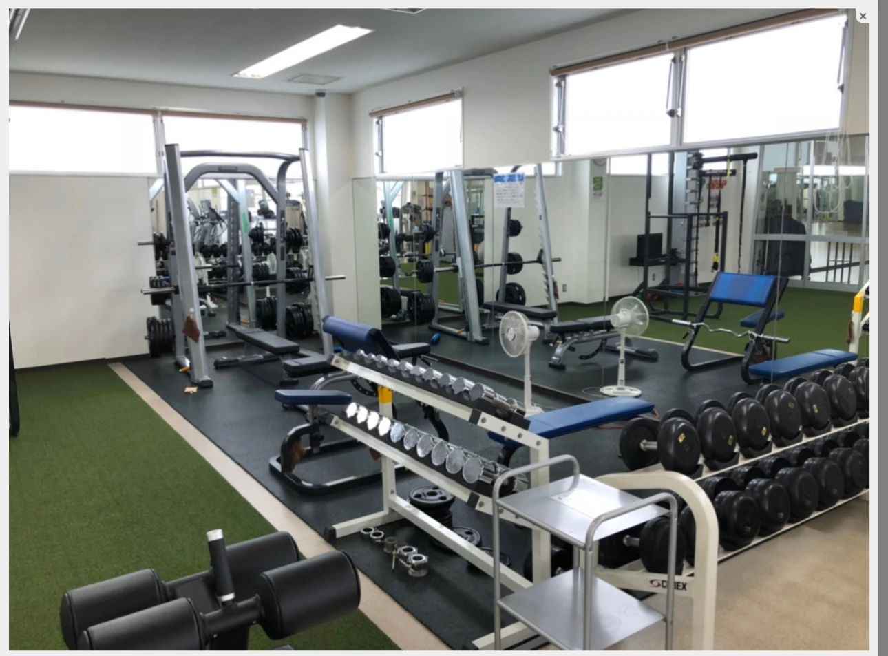 INAHO SPORTS(イナホスポーツ) スイミング・水泳 スウィン鴻巣のサムネイル画像 3