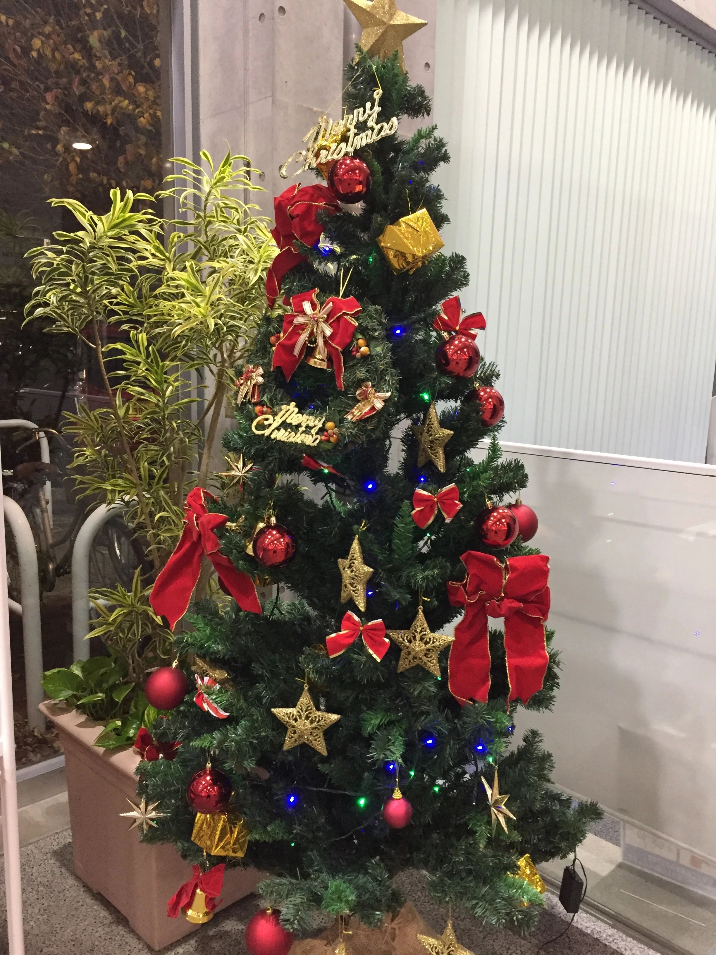 アスリエ スイミング・水泳 与野店のサムネイル画像 3