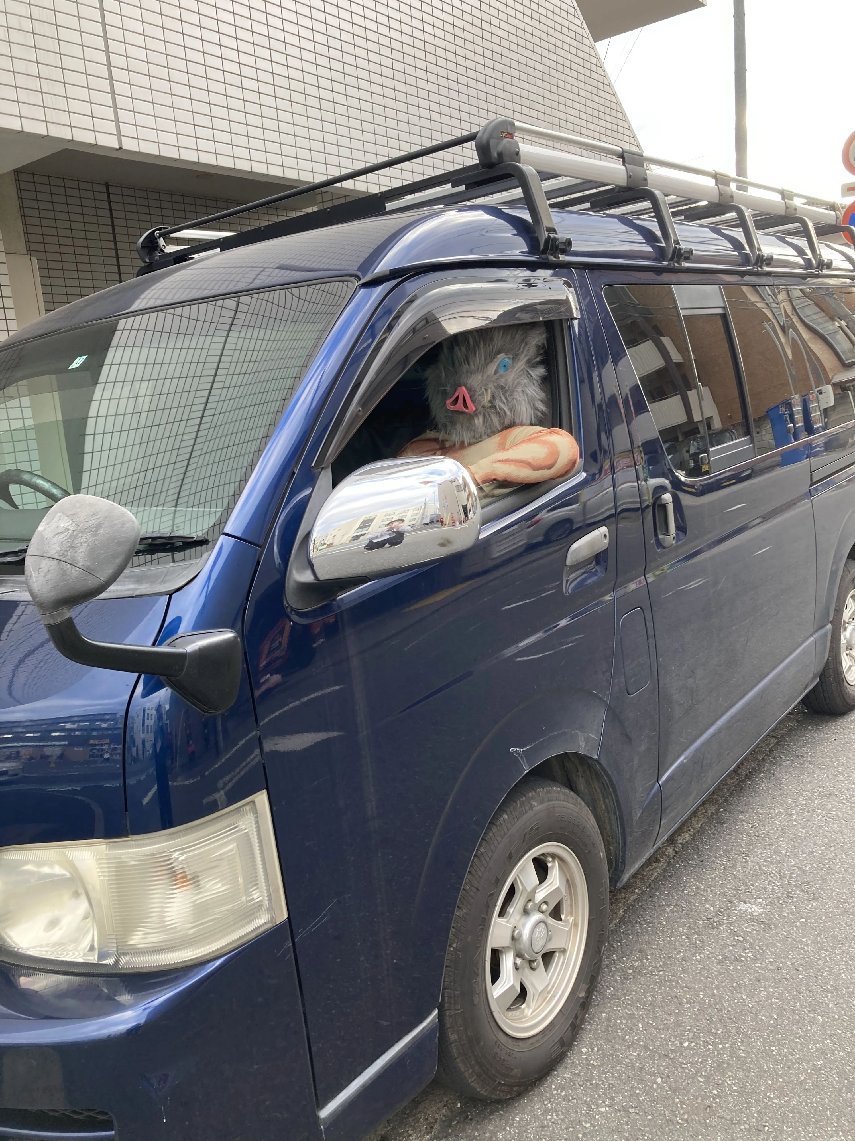 TPEA FLAP スイミング・水泳 西立野教室のサムネイル画像 2