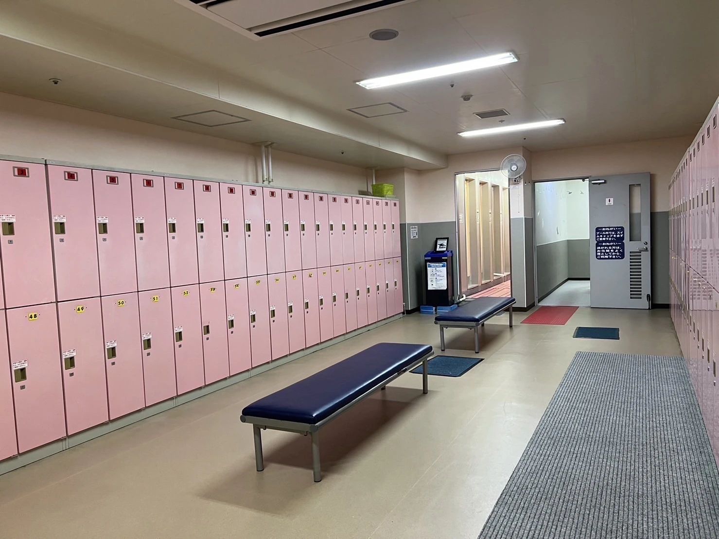 ミミスイミングクラブ 市原のサムネイル画像 2