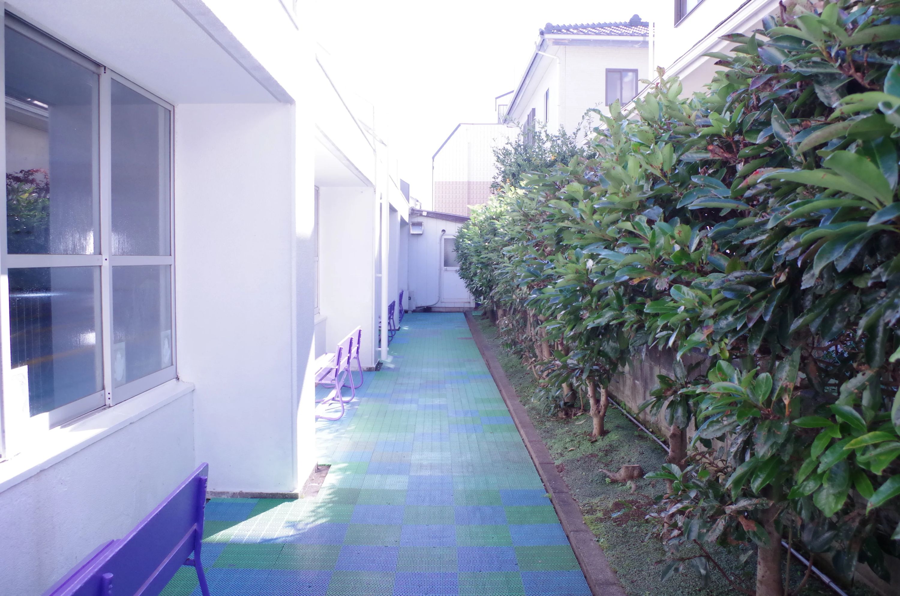 エンジョイスイミングすいえいかん 成田校のサムネイル画像 5