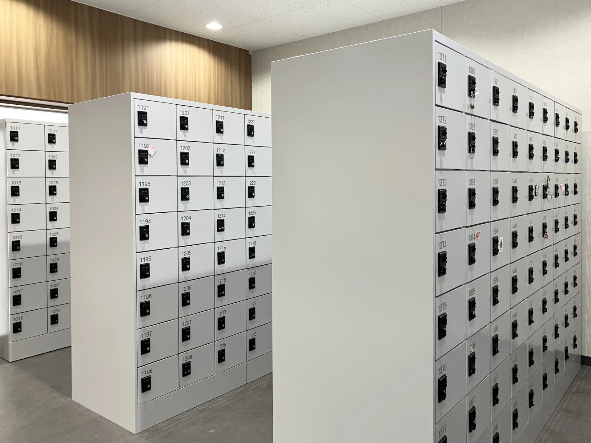 RENAISSANCE(ルネサンス) スイミング・水泳 稲毛24のサムネイル画像 4