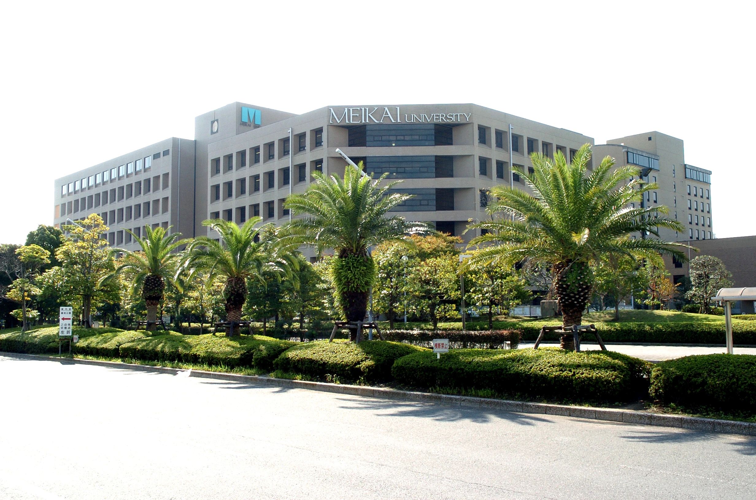 明海大学オープンカレッジ-メイカイクラブ スイミング・水泳 明海教室のサムネイル画像 3