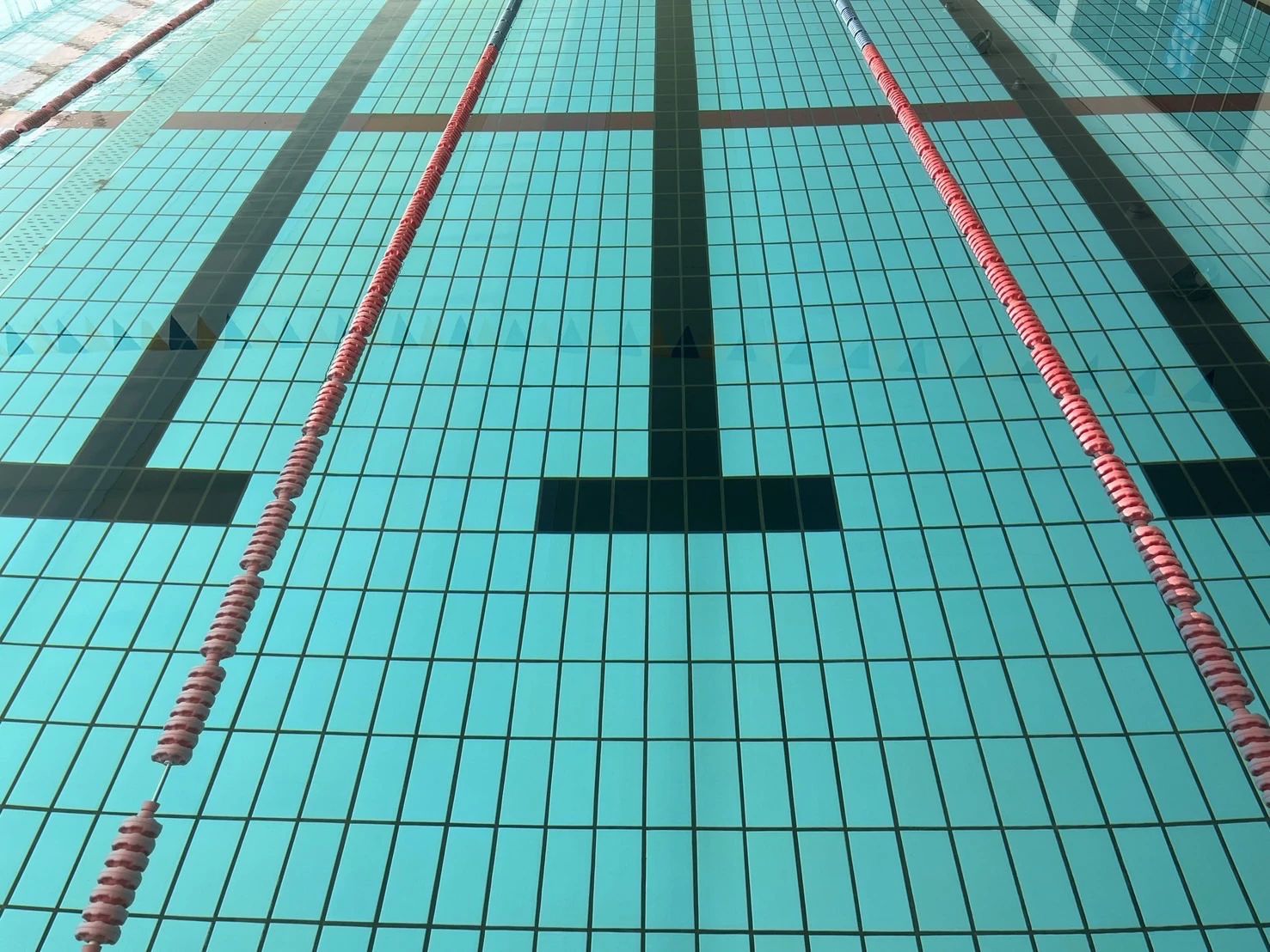 スイムクラブフィットネス 大沼町教室のサムネイル画像 2