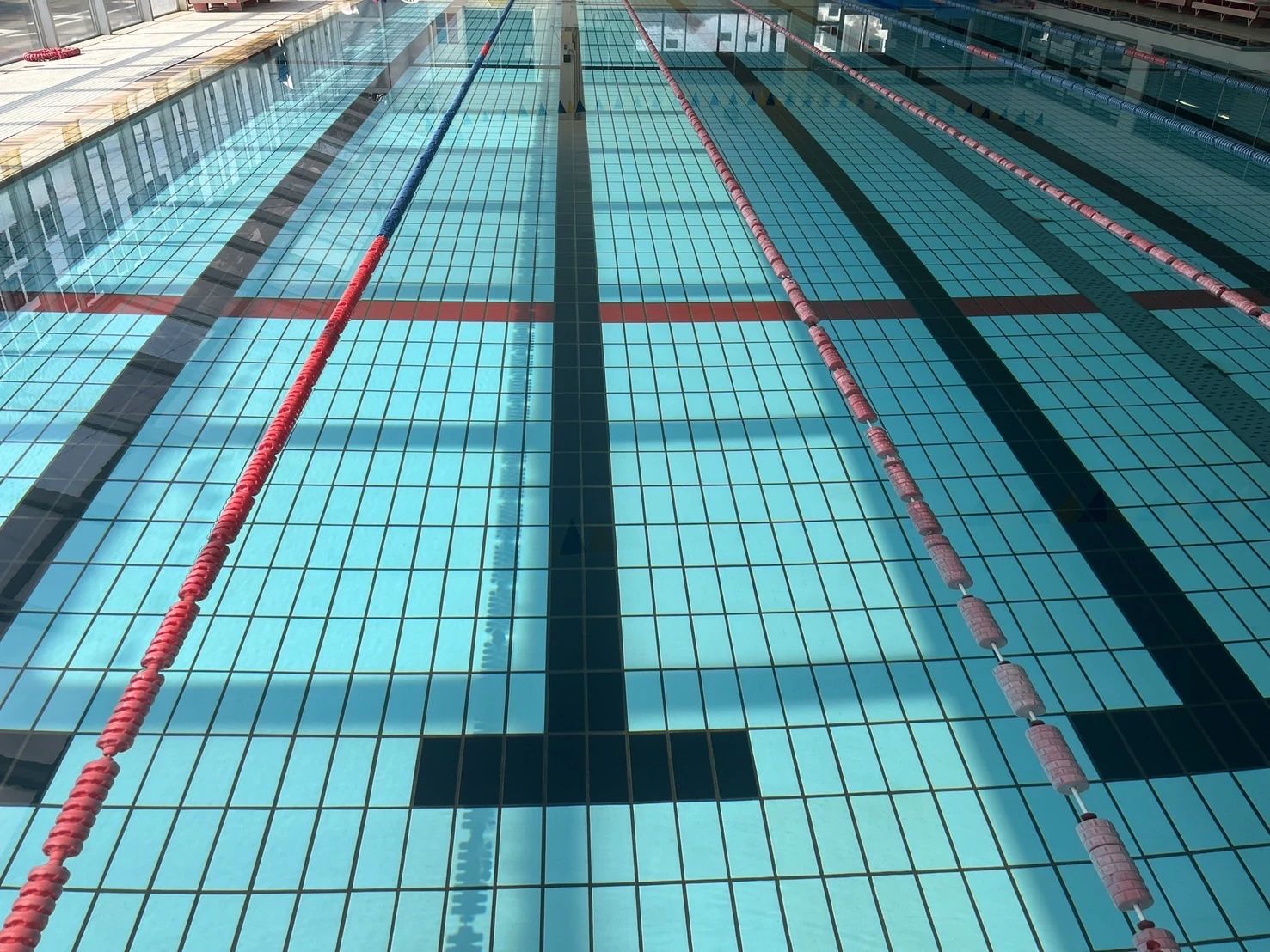 スイムクラブフィットネス 大沼町教室のサムネイル画像 3