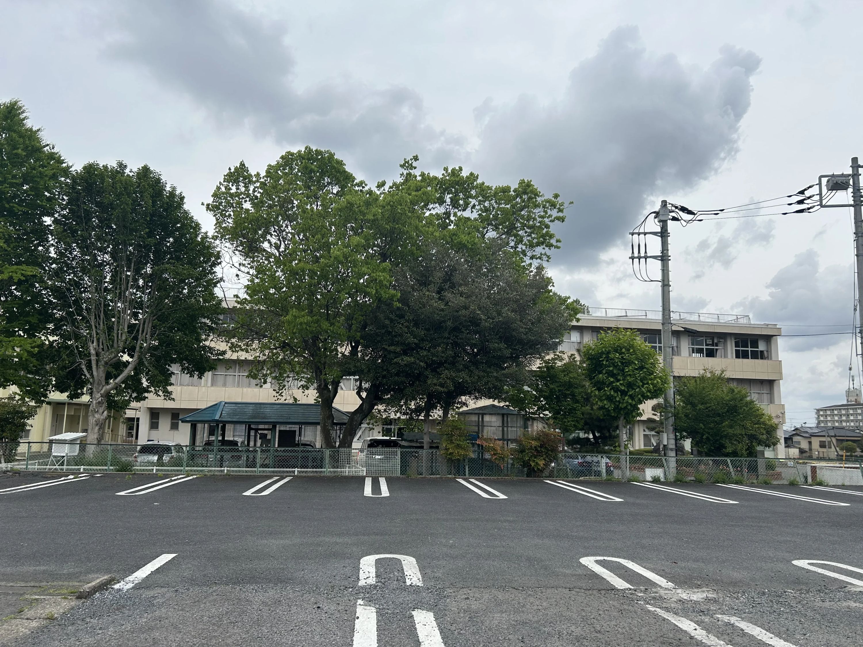 スポーツアカデミー スイミング・水泳 水戸のサムネイル画像 5
