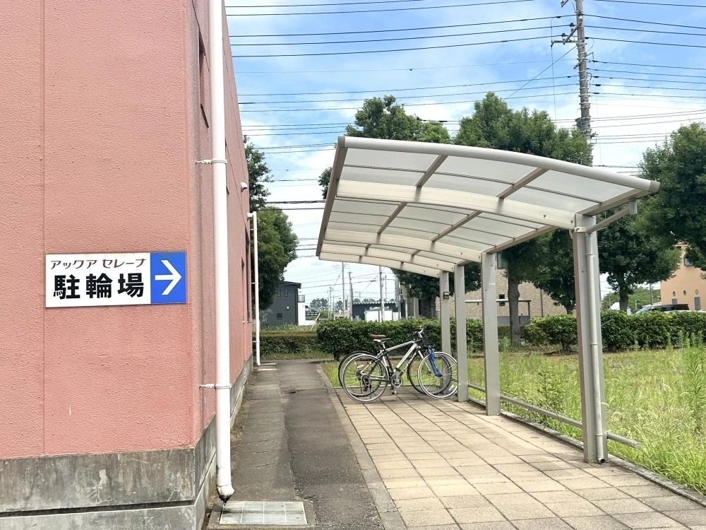 アックアセレーナ スイミング・水泳 東光台教室のサムネイル画像 4