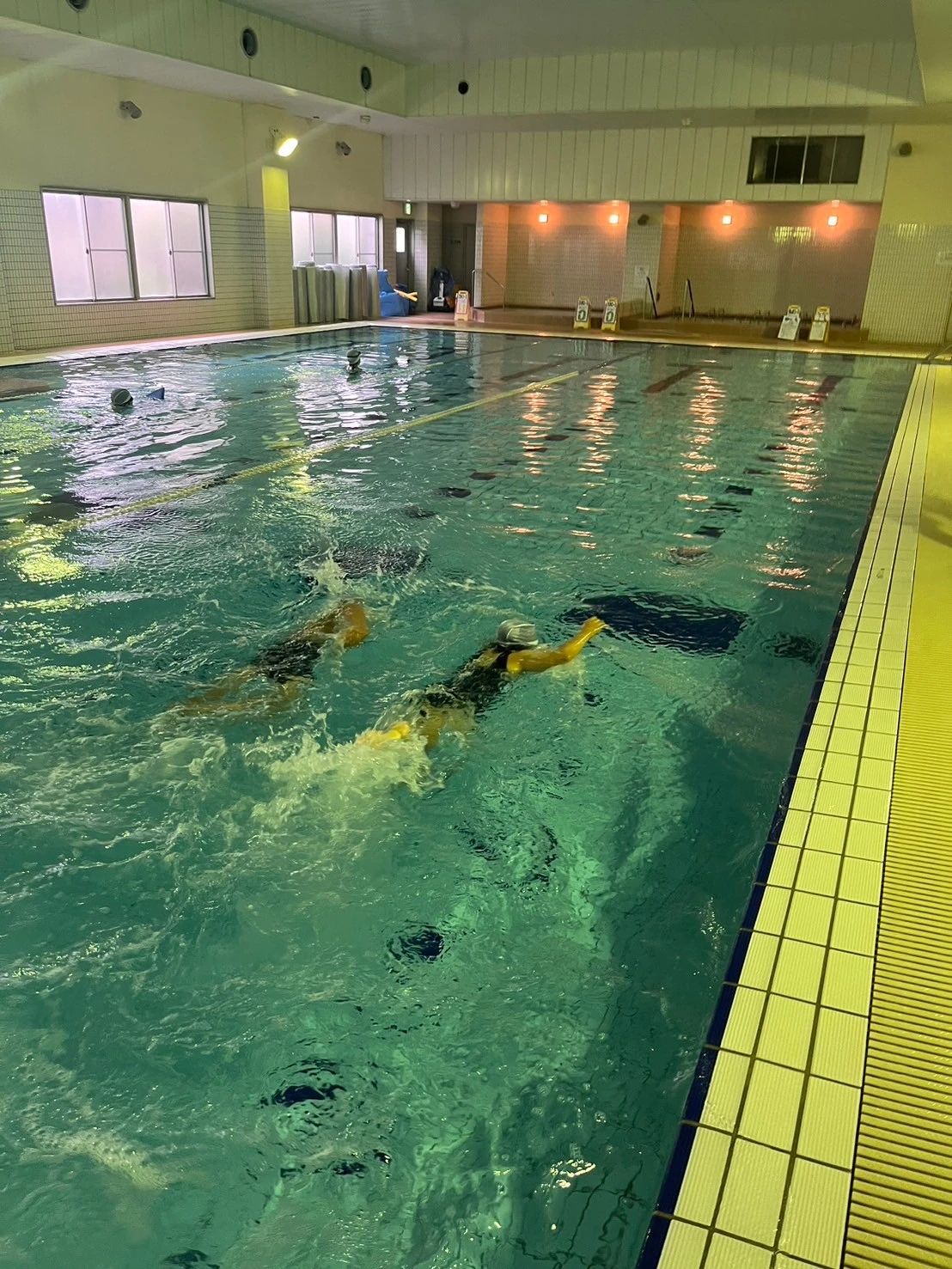 野間スイミングスクール スイミング・水泳 足利校のサムネイル画像 5