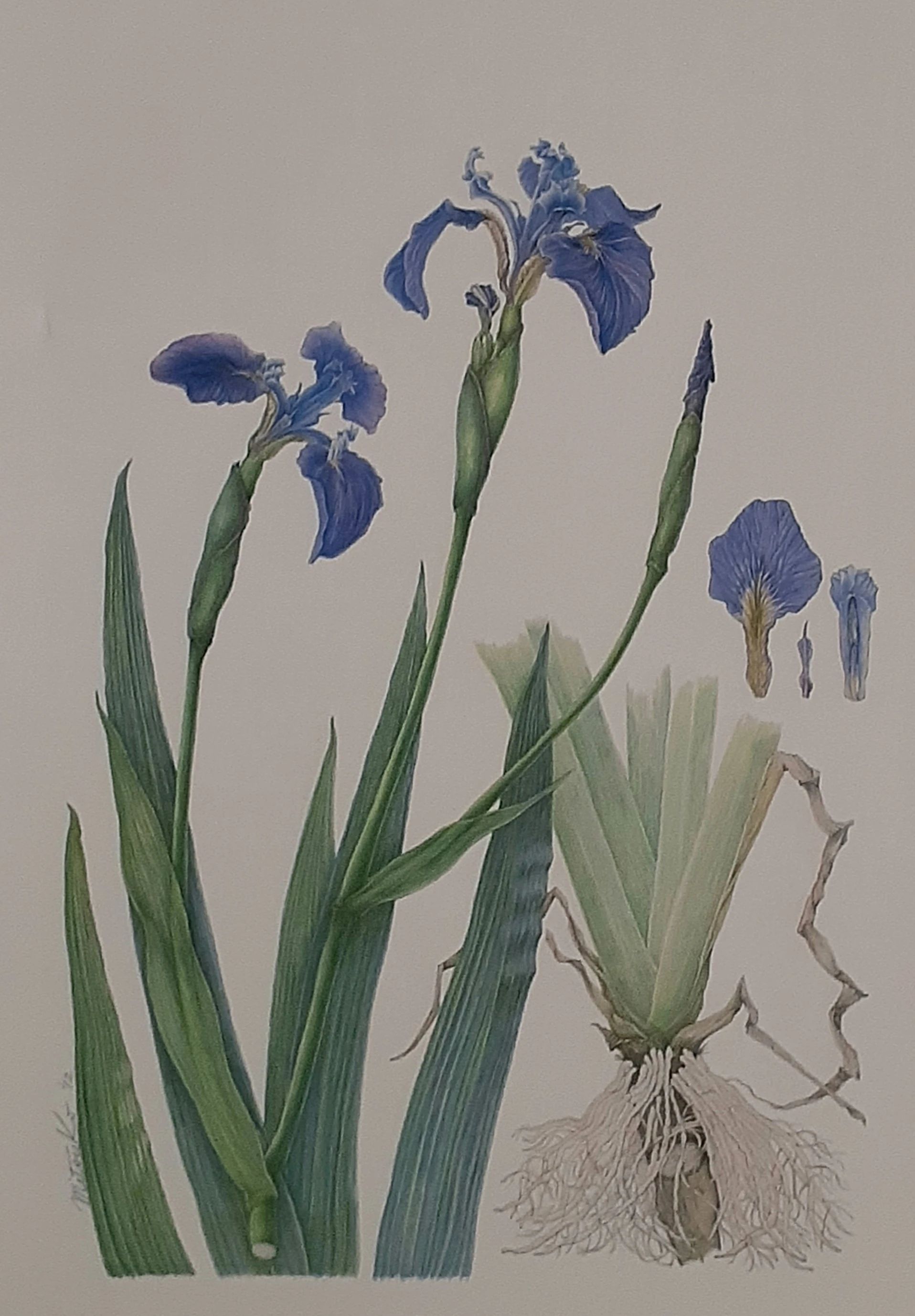 ペアーレトチギ スイミング・水泳 錦町店のサムネイル画像 2