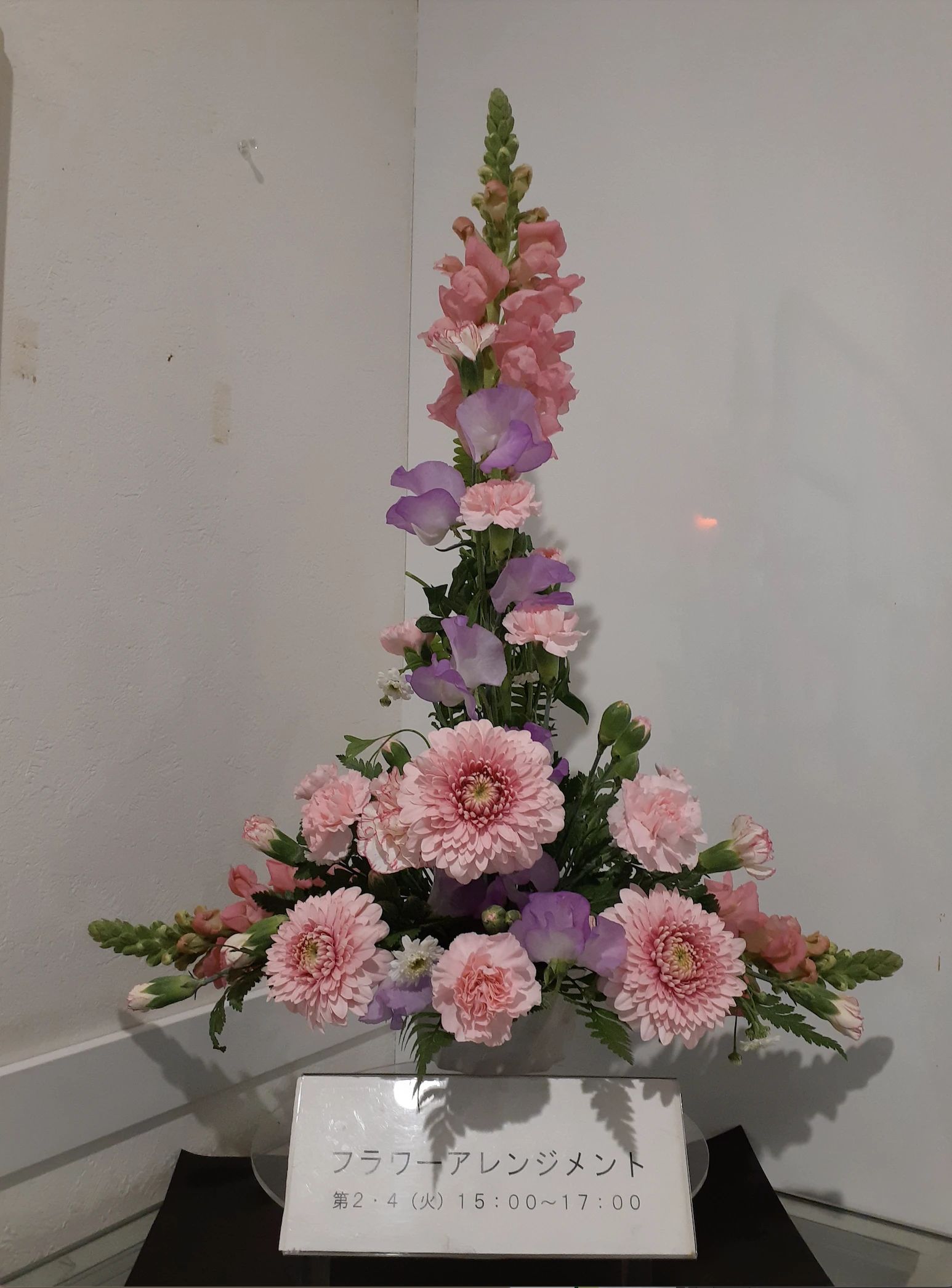 ペアーレトチギ スイミング・水泳 錦町店のサムネイル画像 3