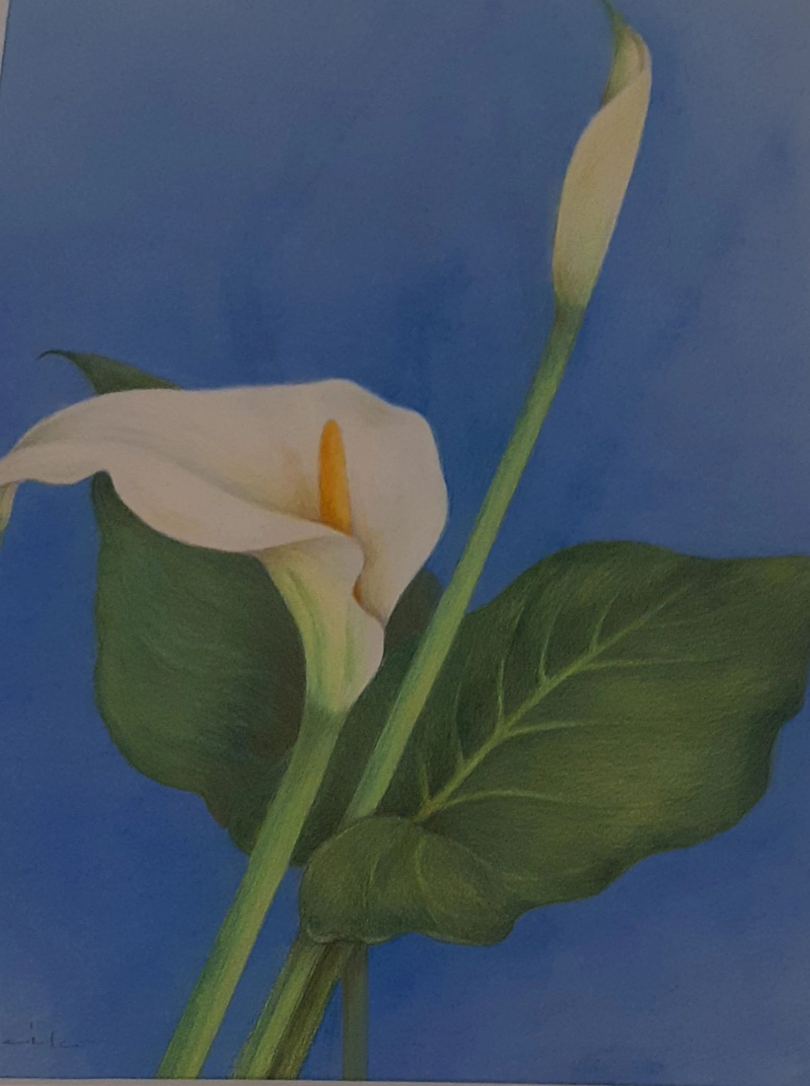 ペアーレトチギ スイミング・水泳 錦町店のサムネイル画像 5