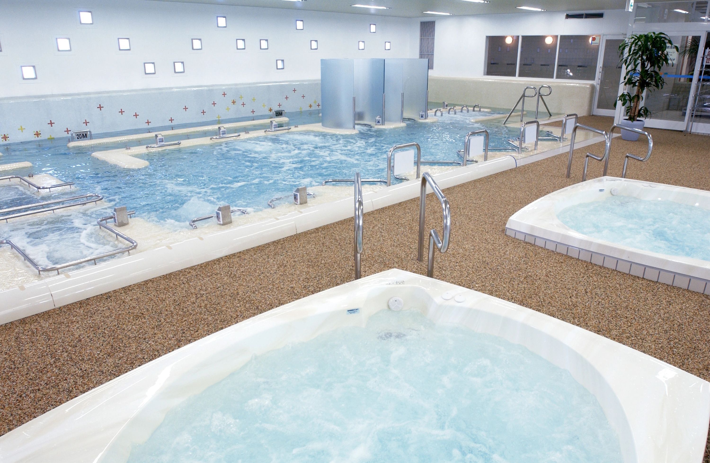 スポーツネットワークSAM スイミング・水泳 石芝のメイン画像