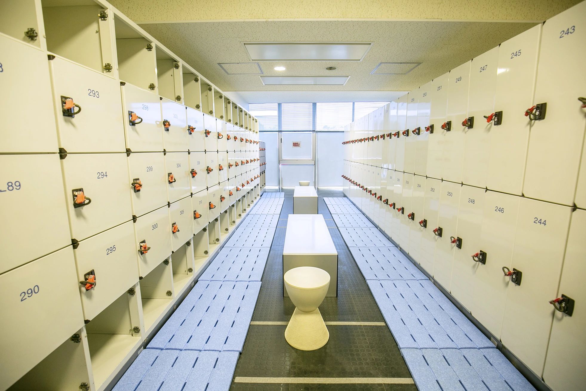 すわっこランドスイミングスクール 豊田教室のメイン画像