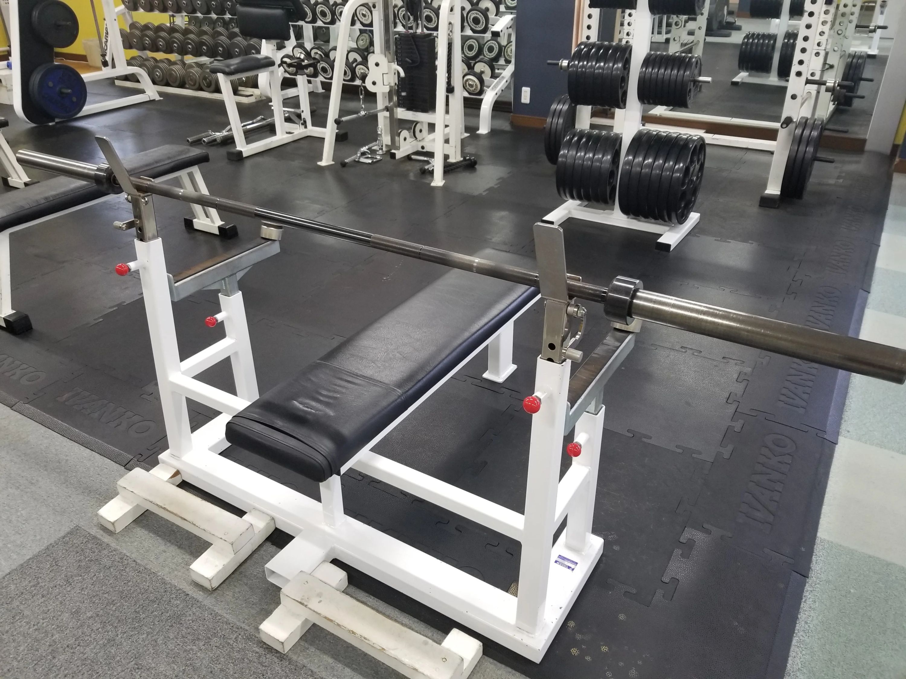 スポーツアカデミー スイミング・水泳 小矢部のサムネイル画像 5