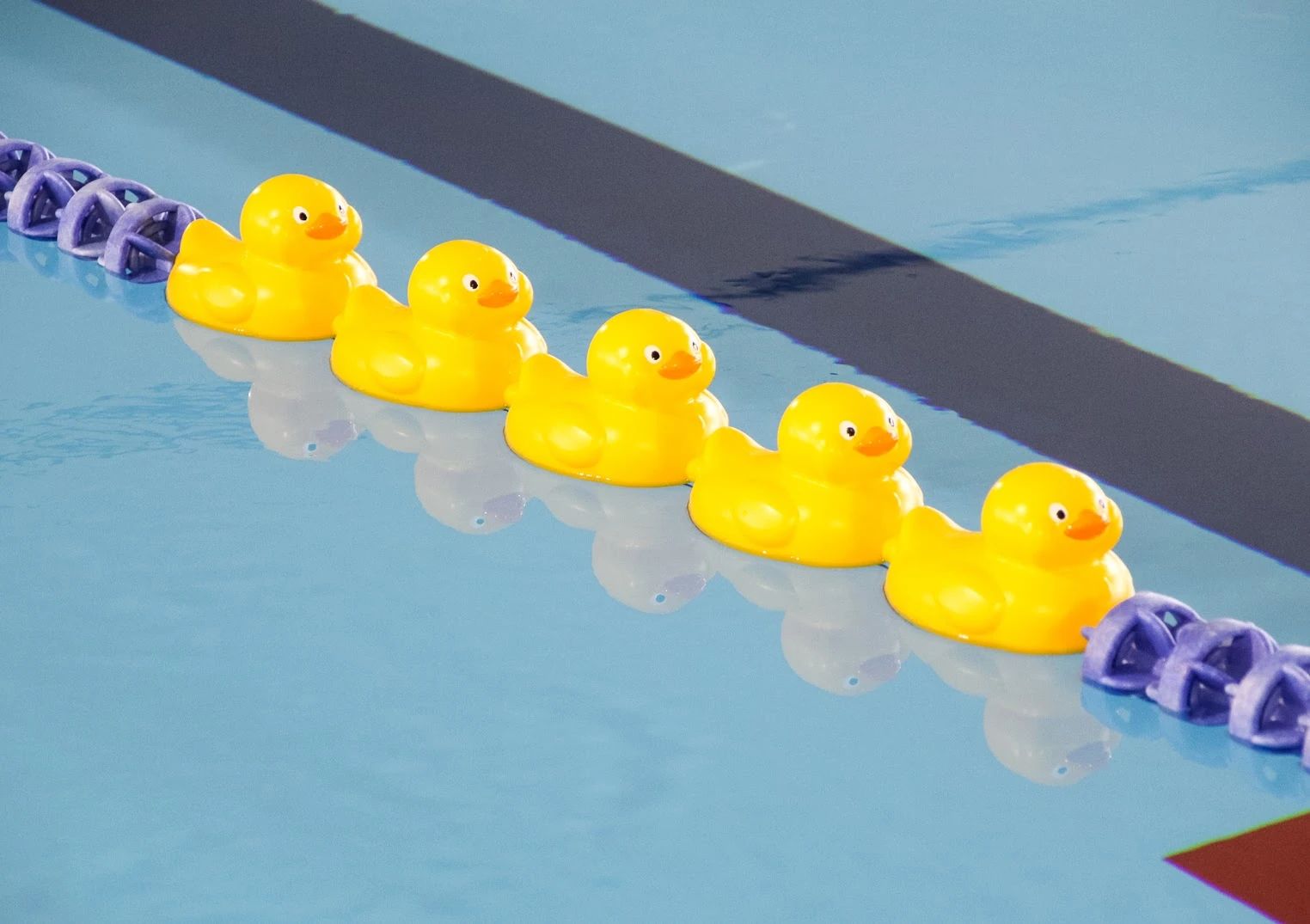 ワントゥスイム・ワンツースイム 高山町教室のサムネイル画像 5