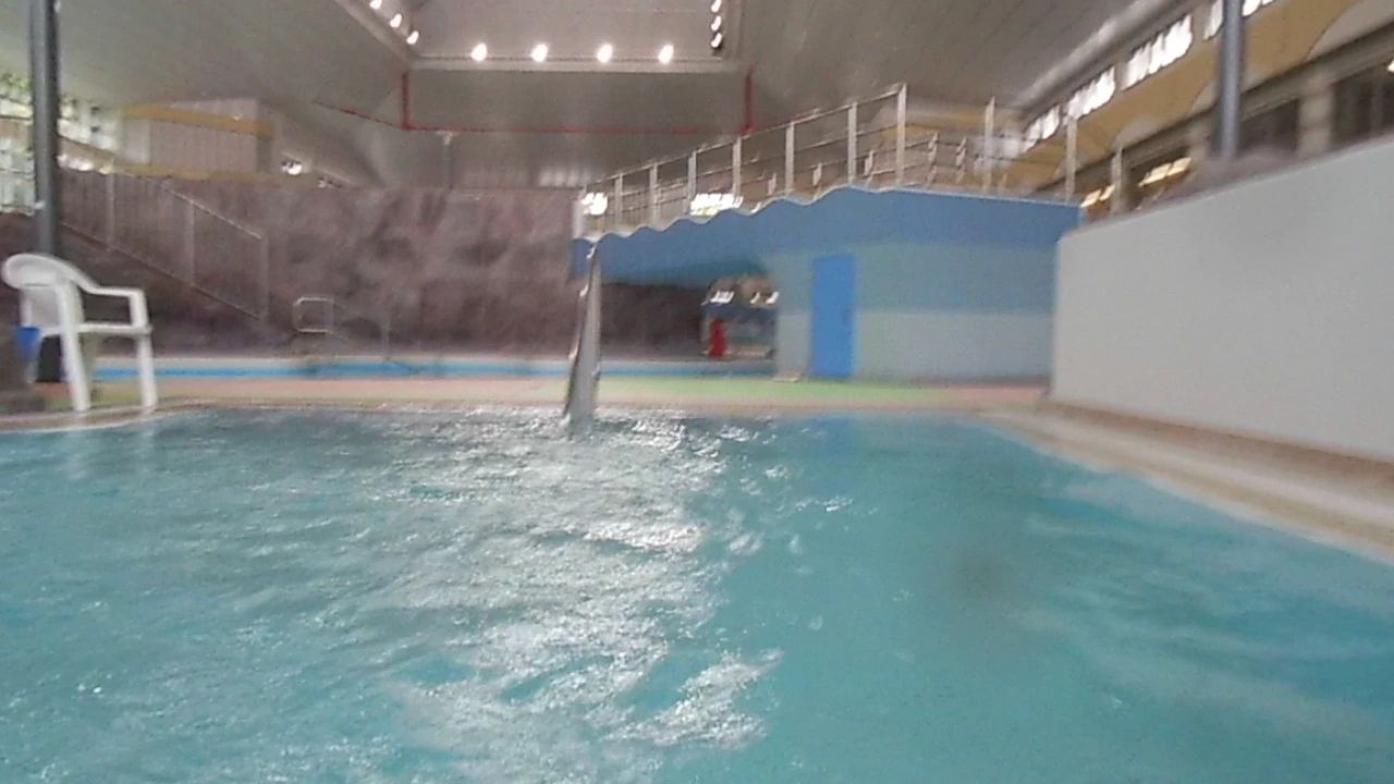 安城市レジャープールマーメイドパレススイミングスクール 和泉町教室のサムネイル画像 4