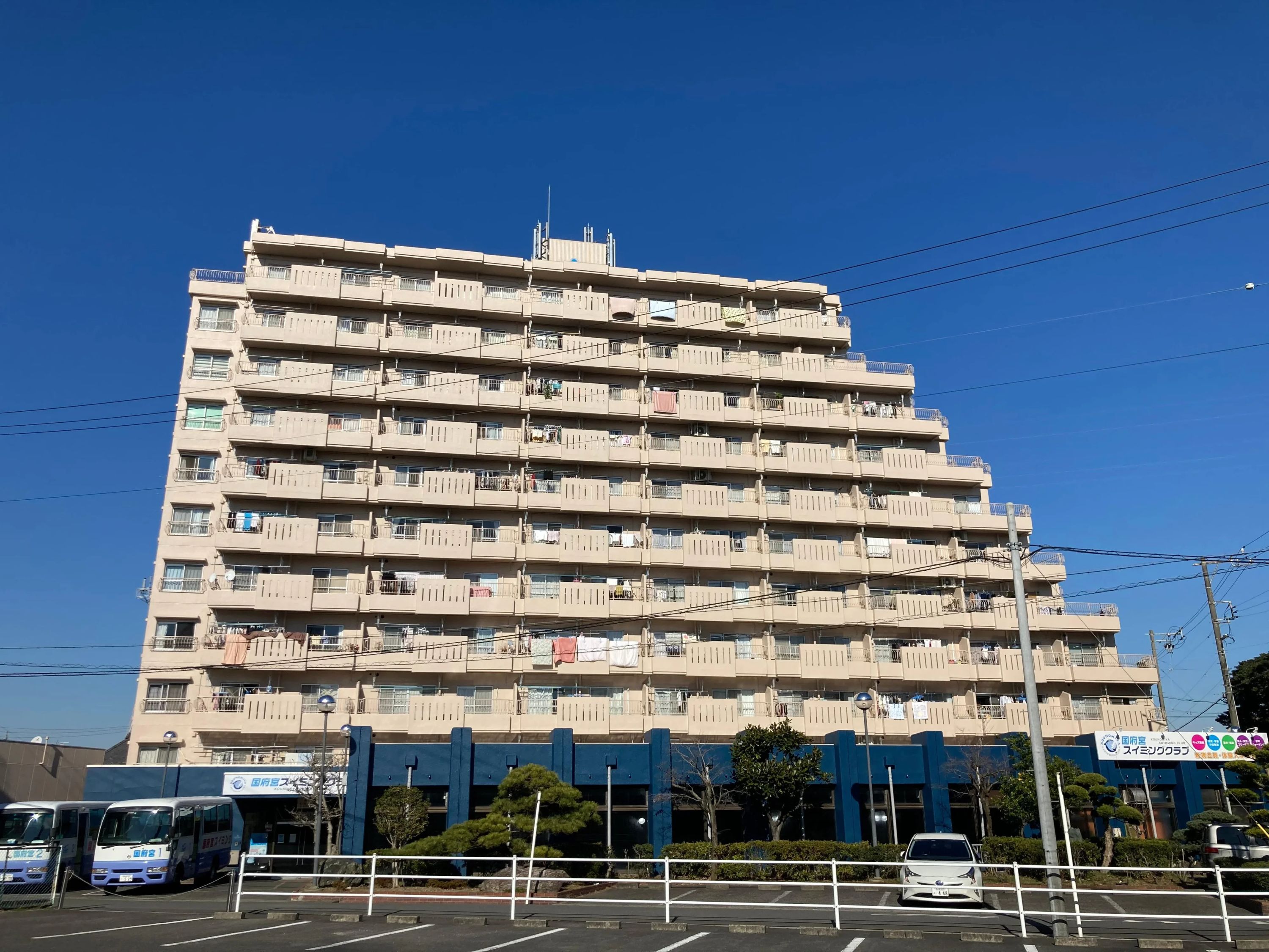 国府宮スイミングクラブ 国府宮教室のメイン画像