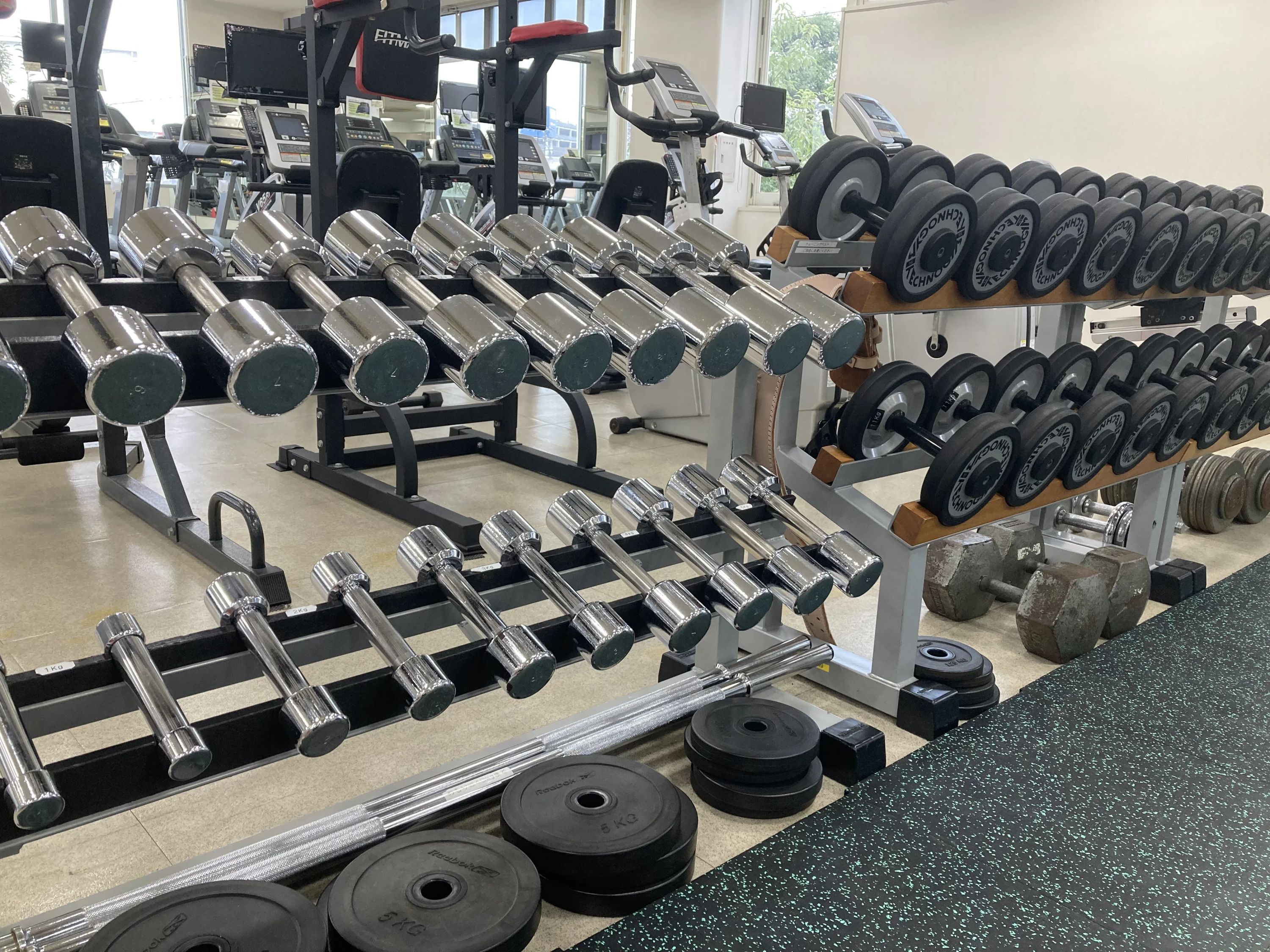 bigs(スポーツクラブビッグ・エス) スイミング・水泳 ビッグ・エス緑のサムネイル画像 2